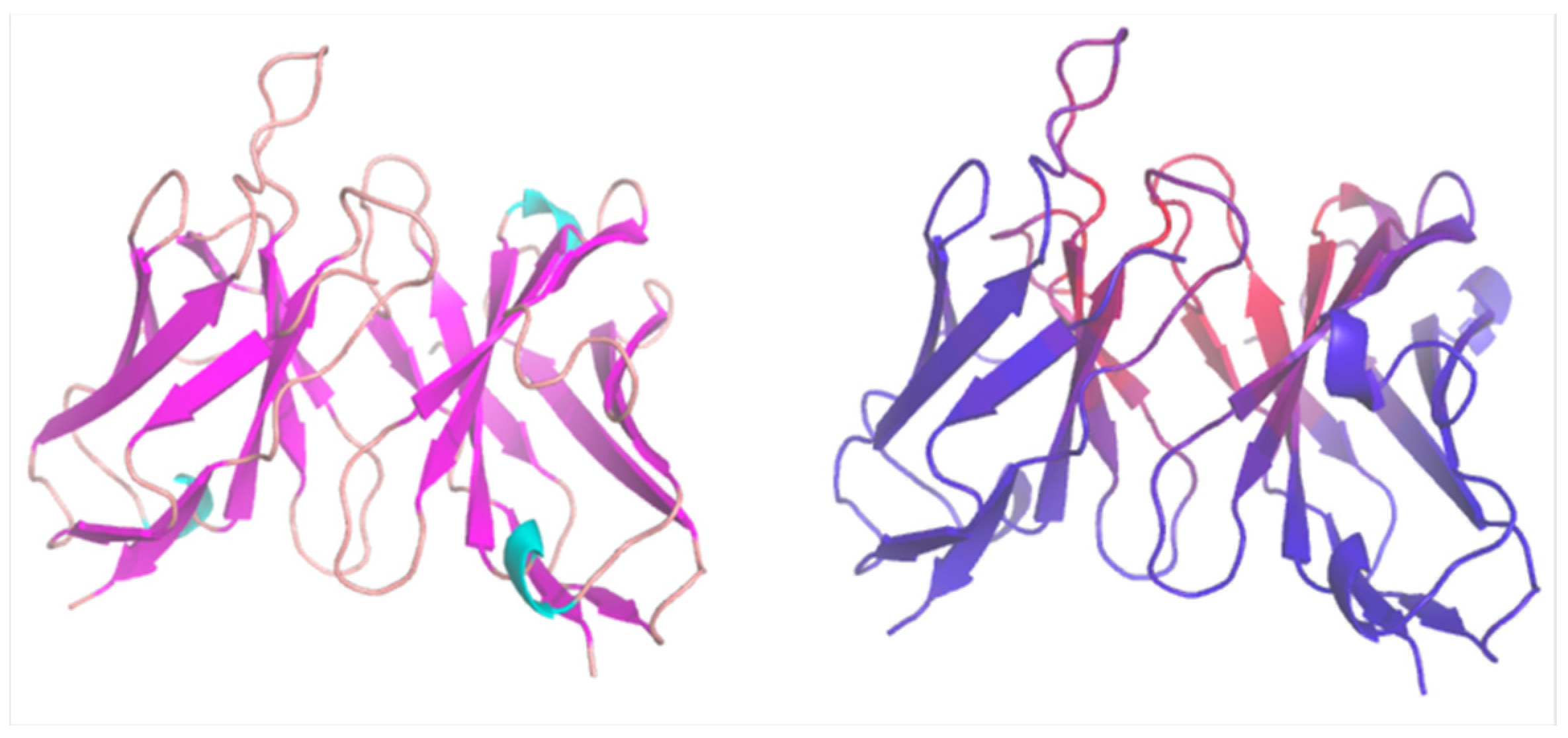 Bioengineering 11 00185 g004