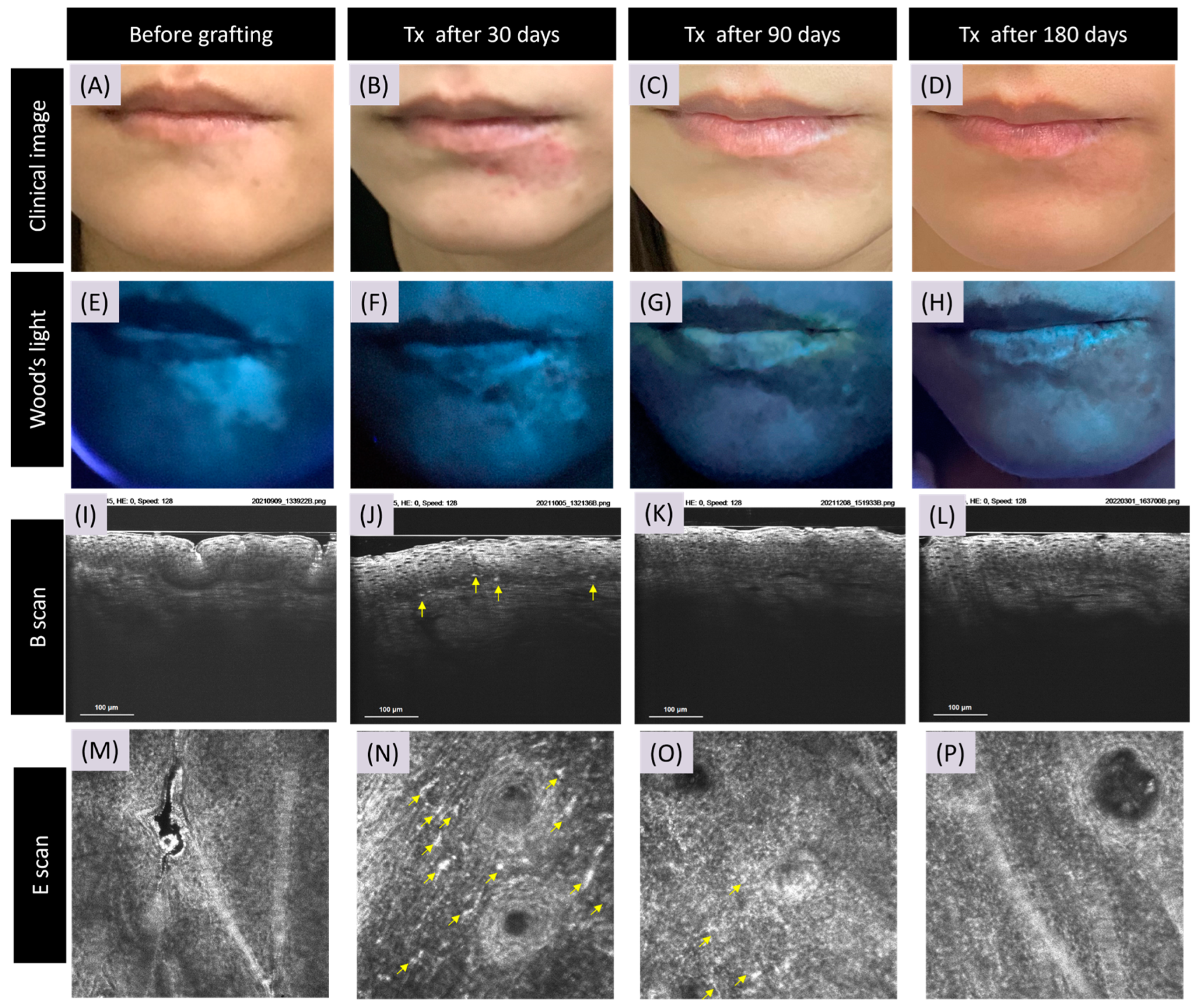 Bioengineering 11 00196 g001