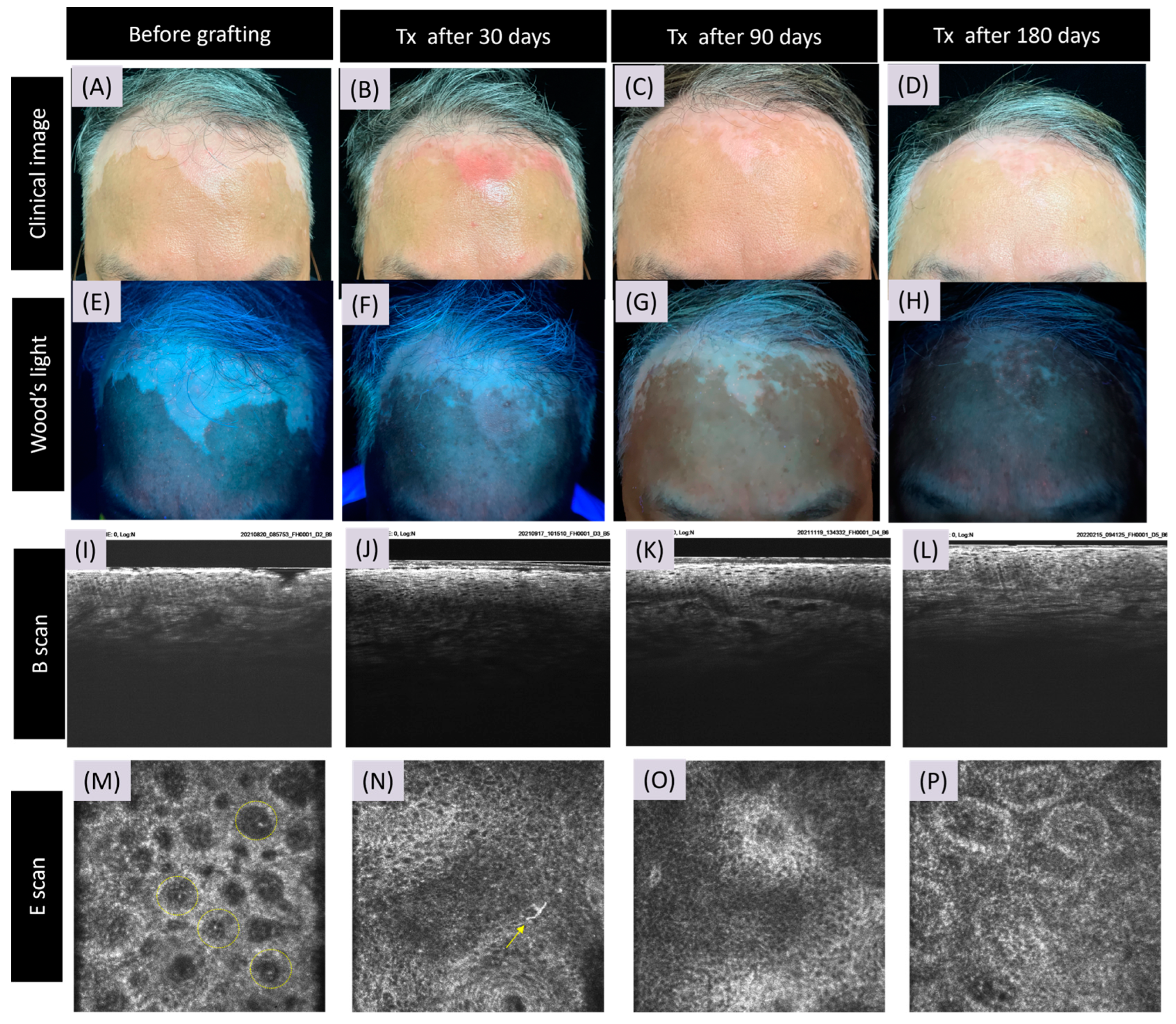 Bioengineering 11 00196 g002