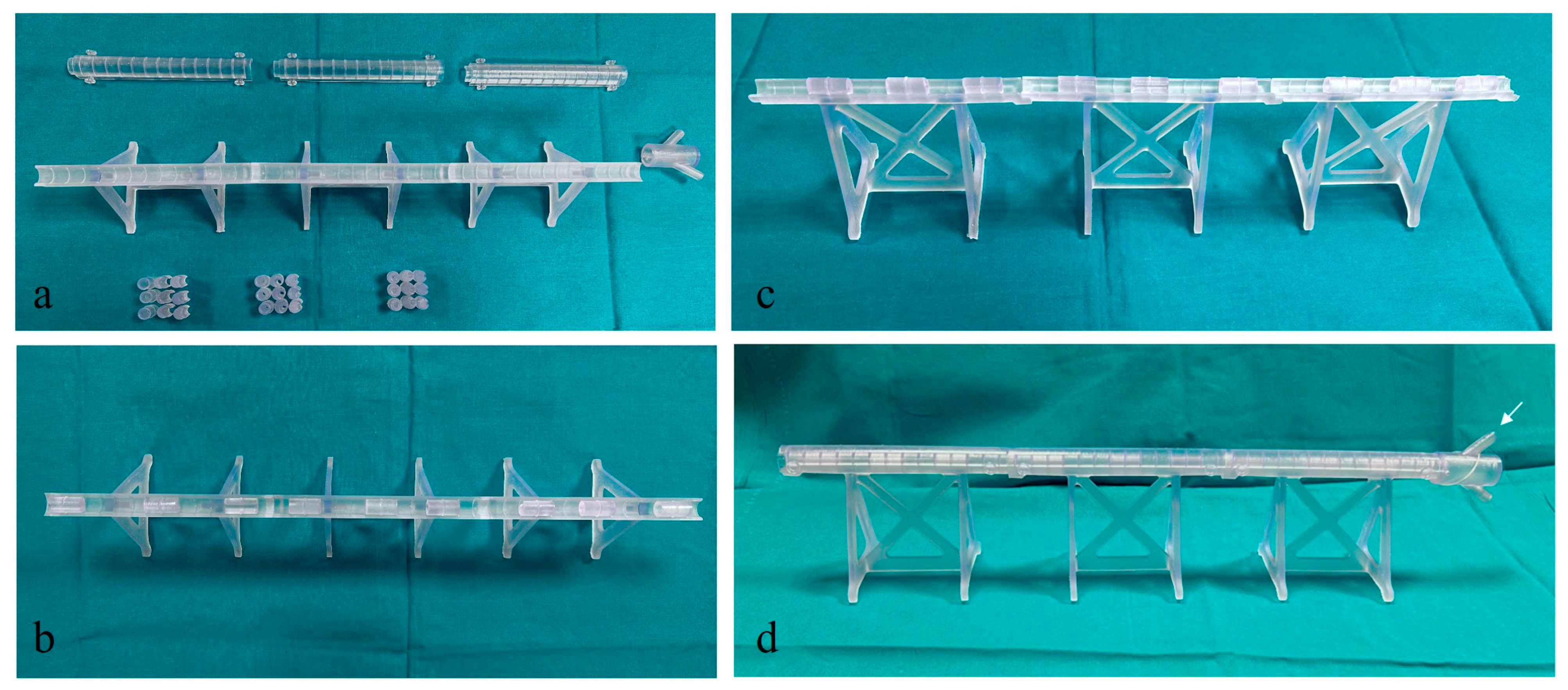 Bioengineering 11 00197 g005