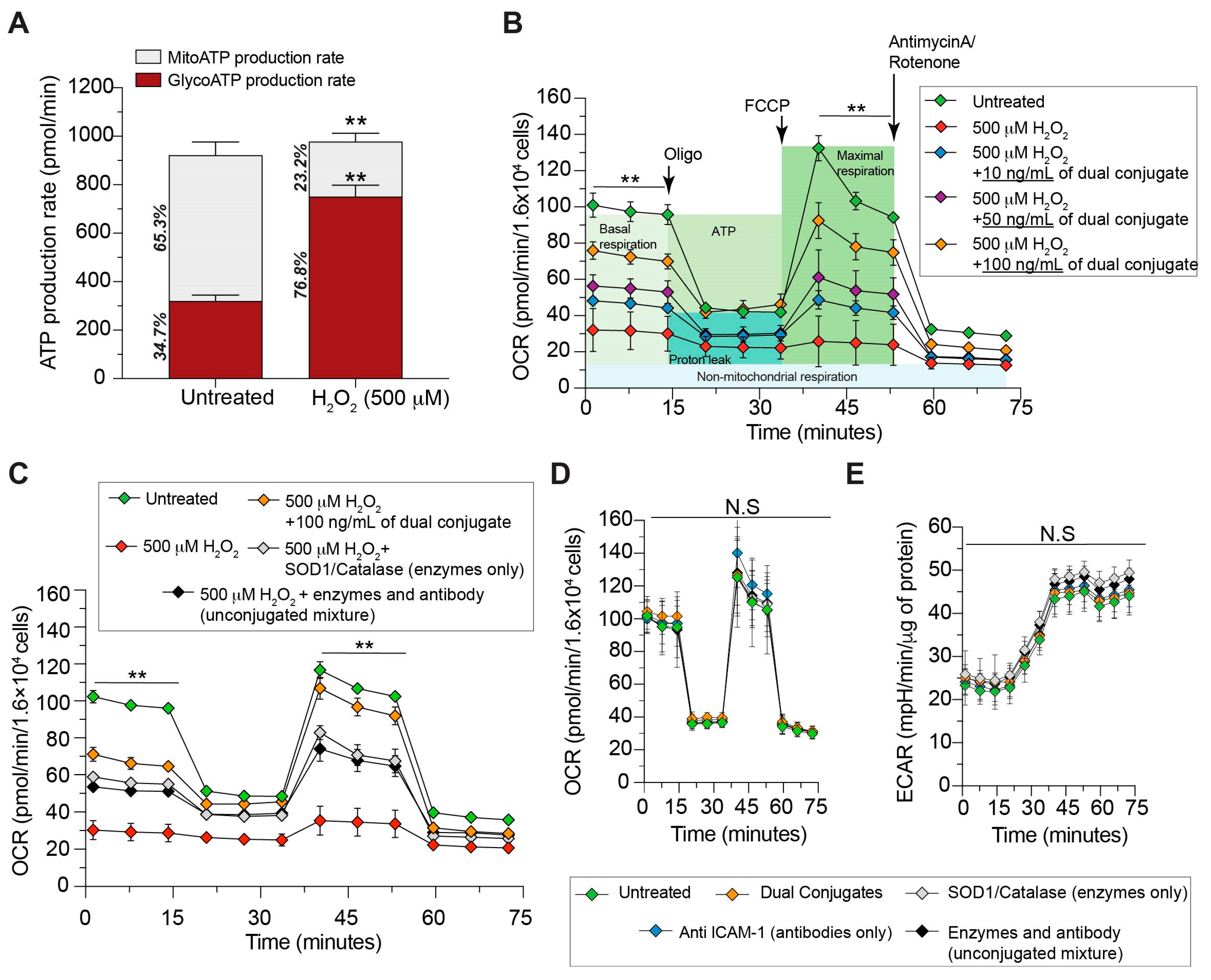 Bioengineering 11 00200 g002