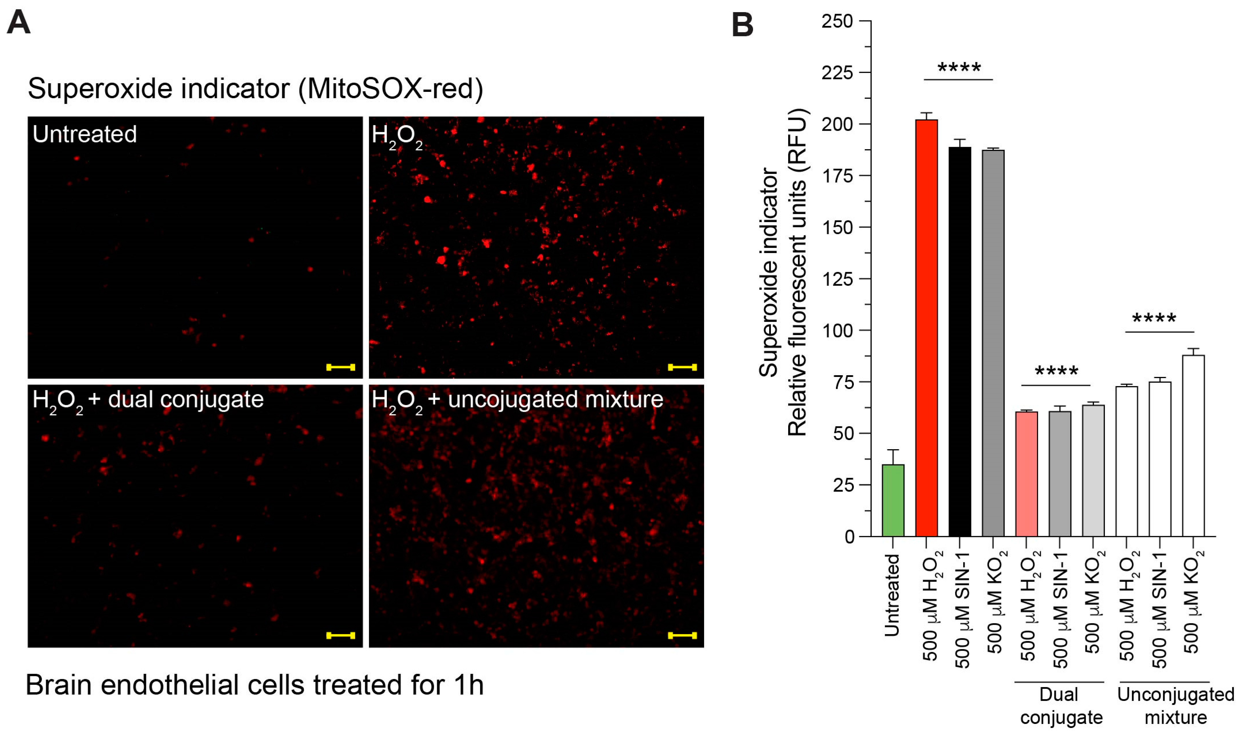 Bioengineering 11 00200 g005