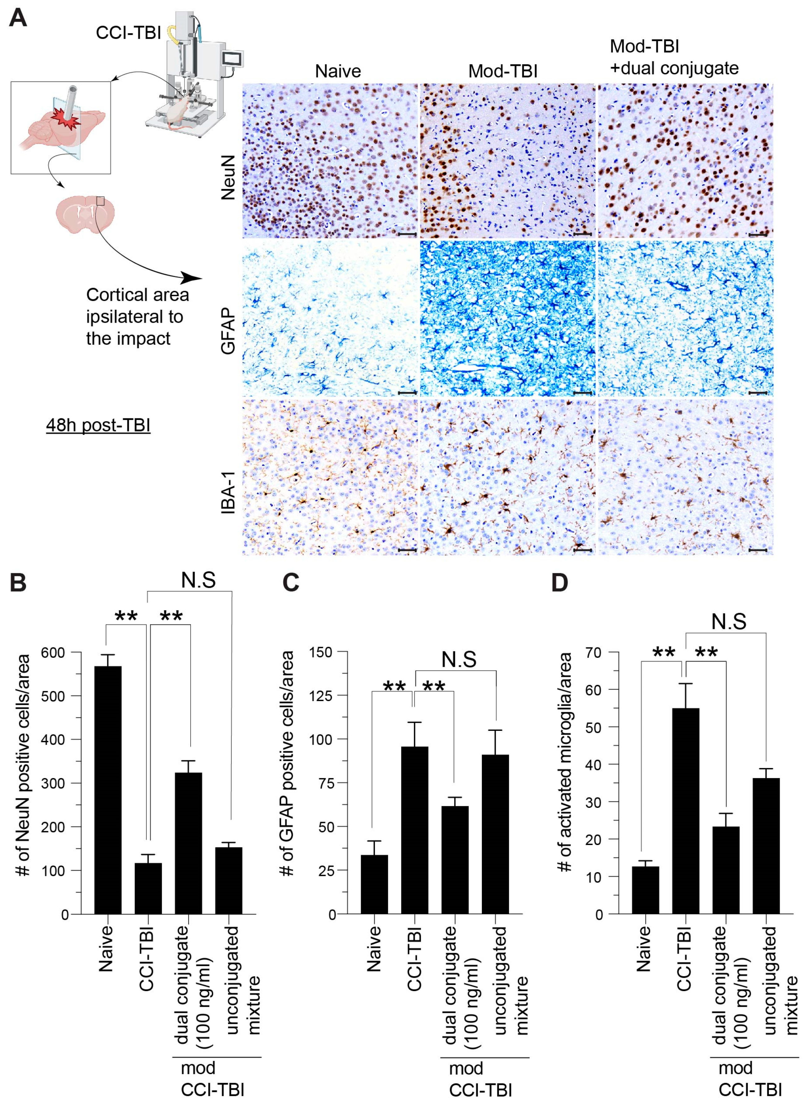 Bioengineering 11 00200 g007