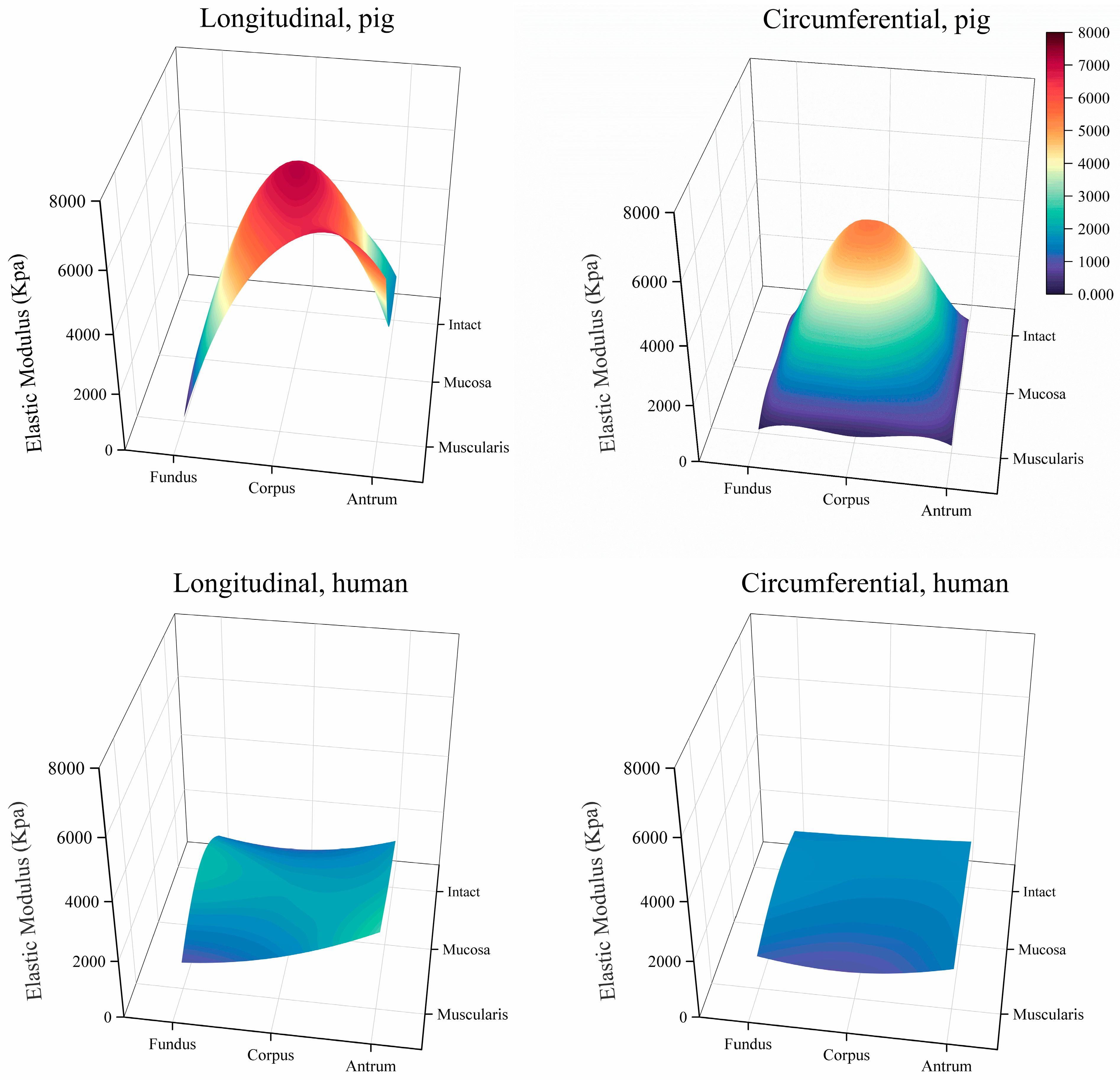 Bioengineering 11 00233 g006