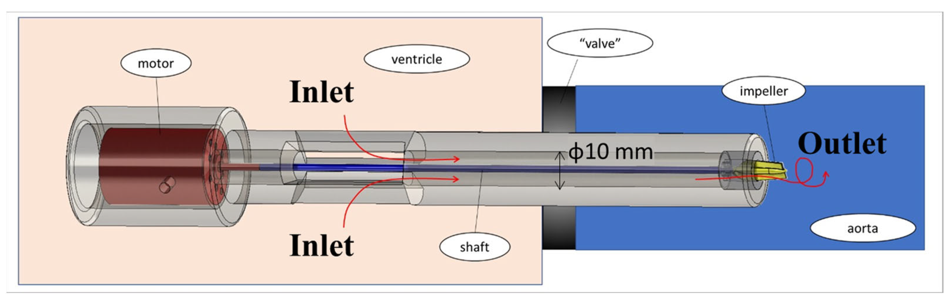 Bioengineering 11 00238 g002 Bioengineering 11 00238 g002