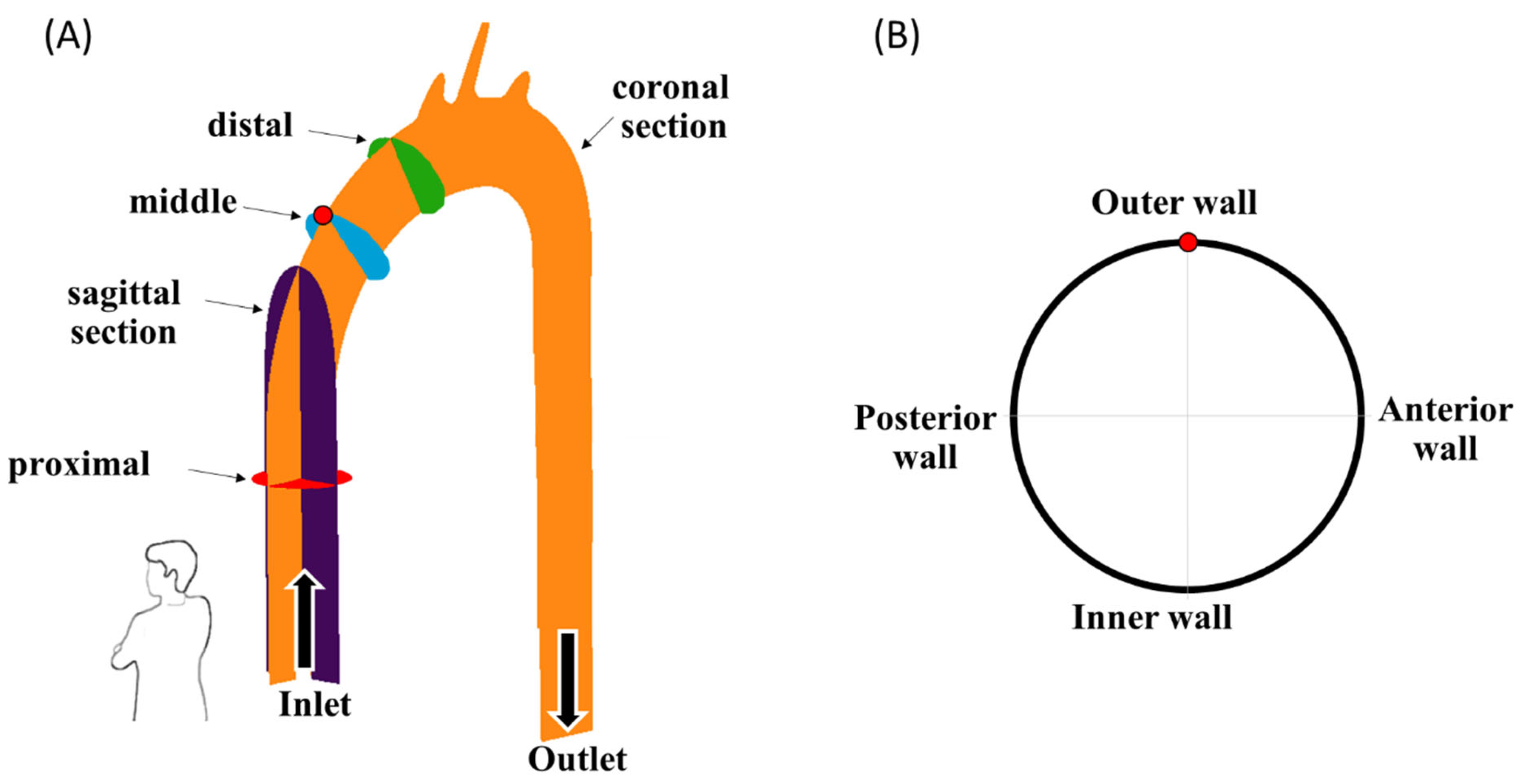Bioengineering 11 00238 g004 Bioengineering 11 00238 g004