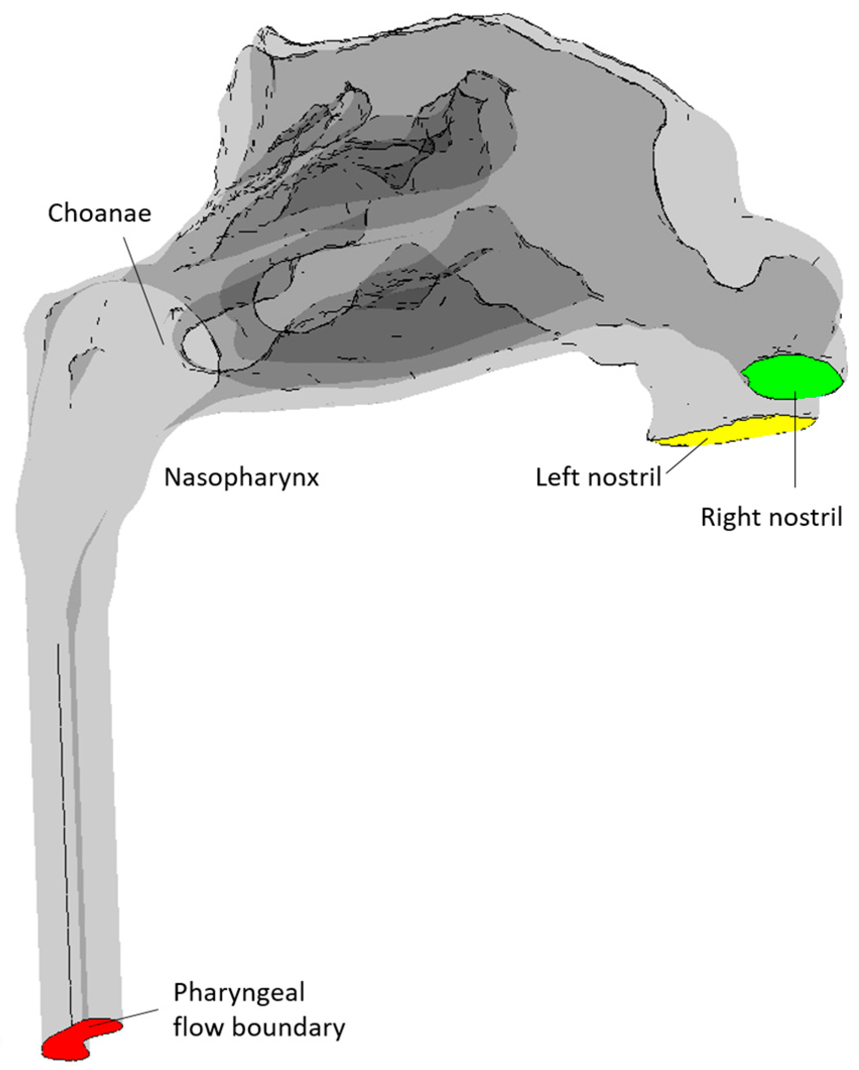 Bioengineering 11 00239 g005 Bioengineering 11 00239 g005