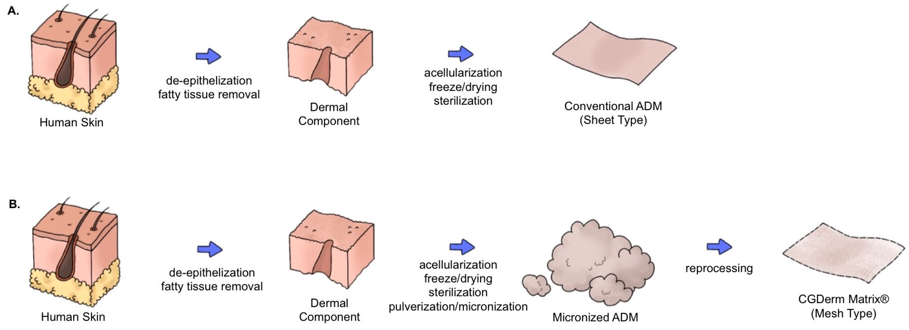 Bioengineering 11 00241 g001