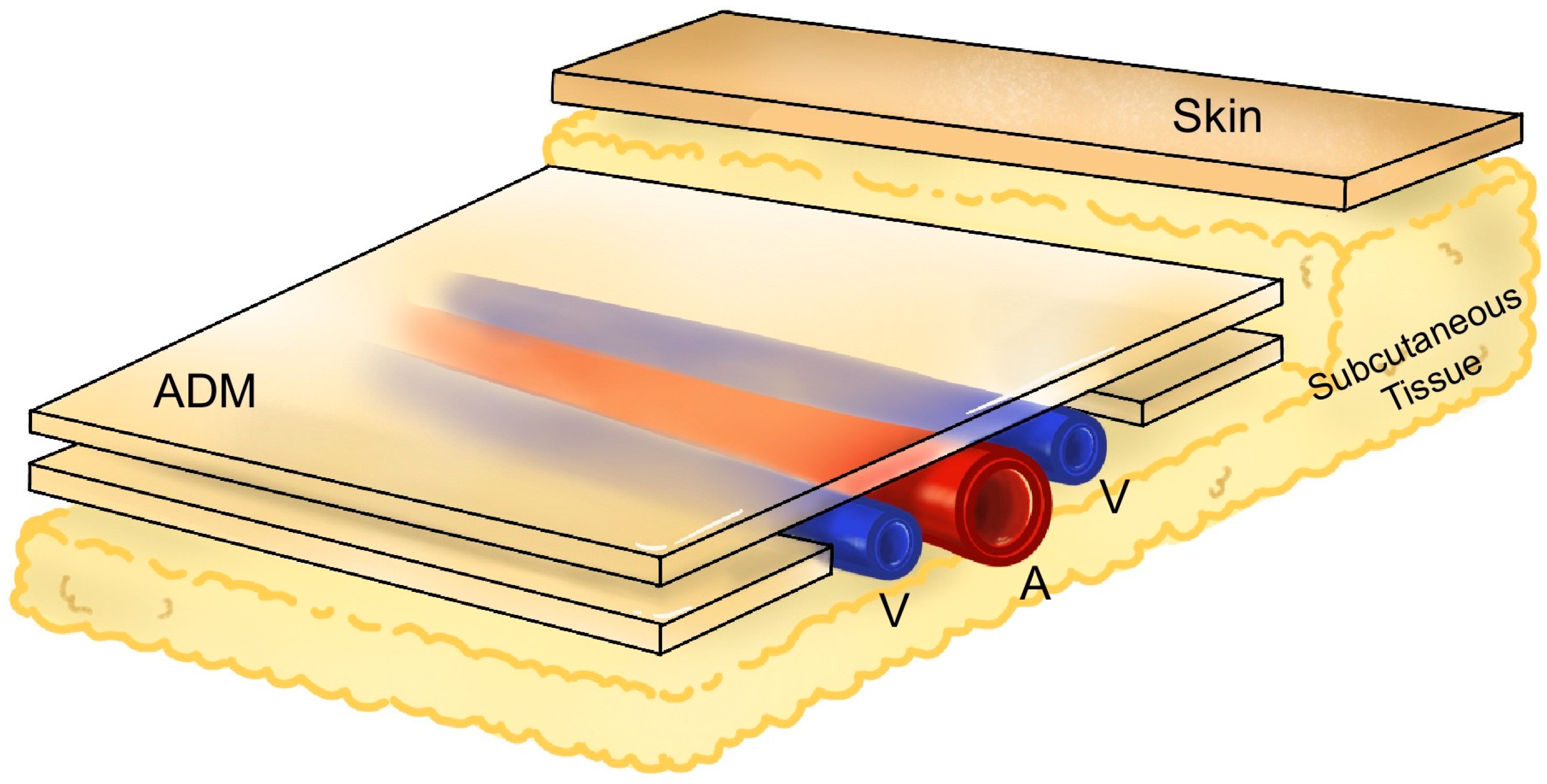 Bioengineering 11 00241 g003