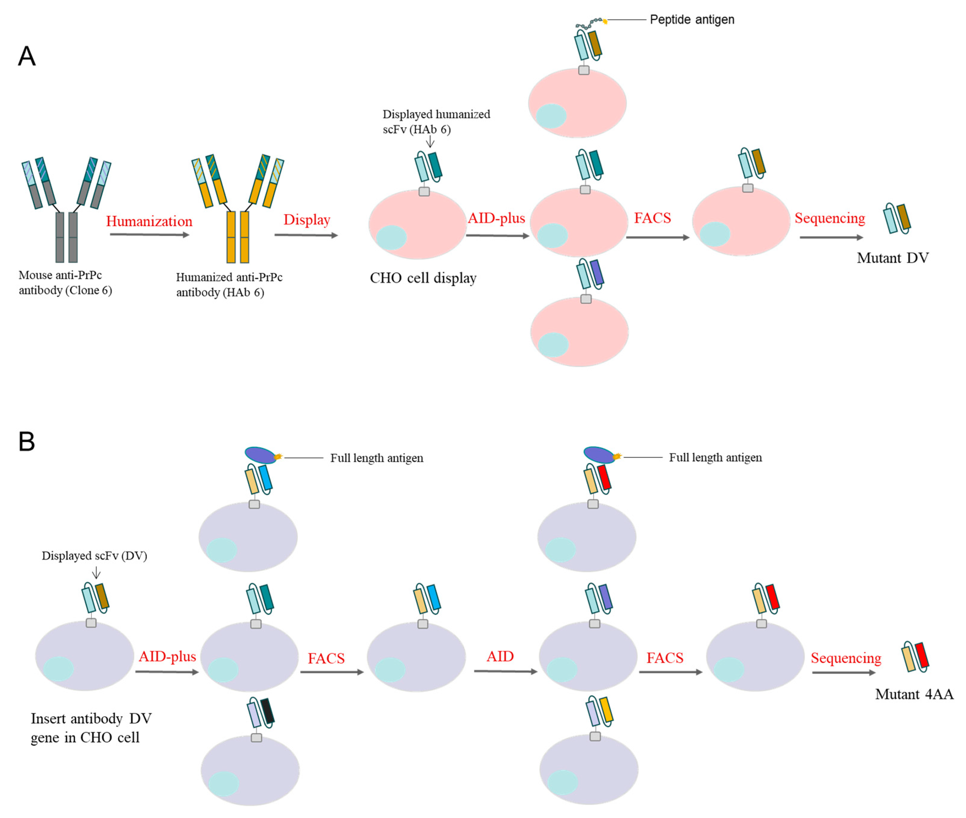 Bioengineering 11 00242 g002