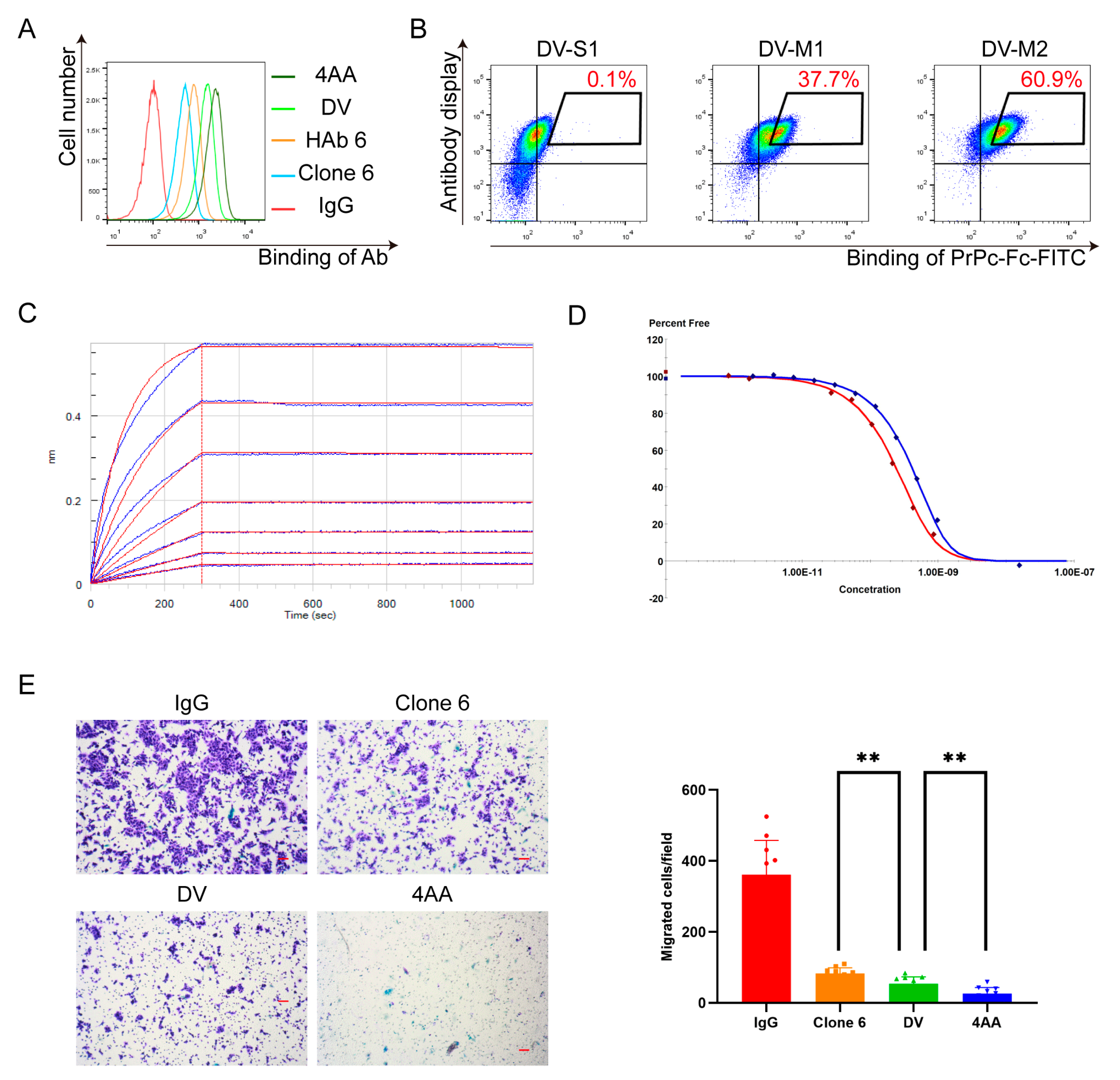 Bioengineering 11 00242 g004