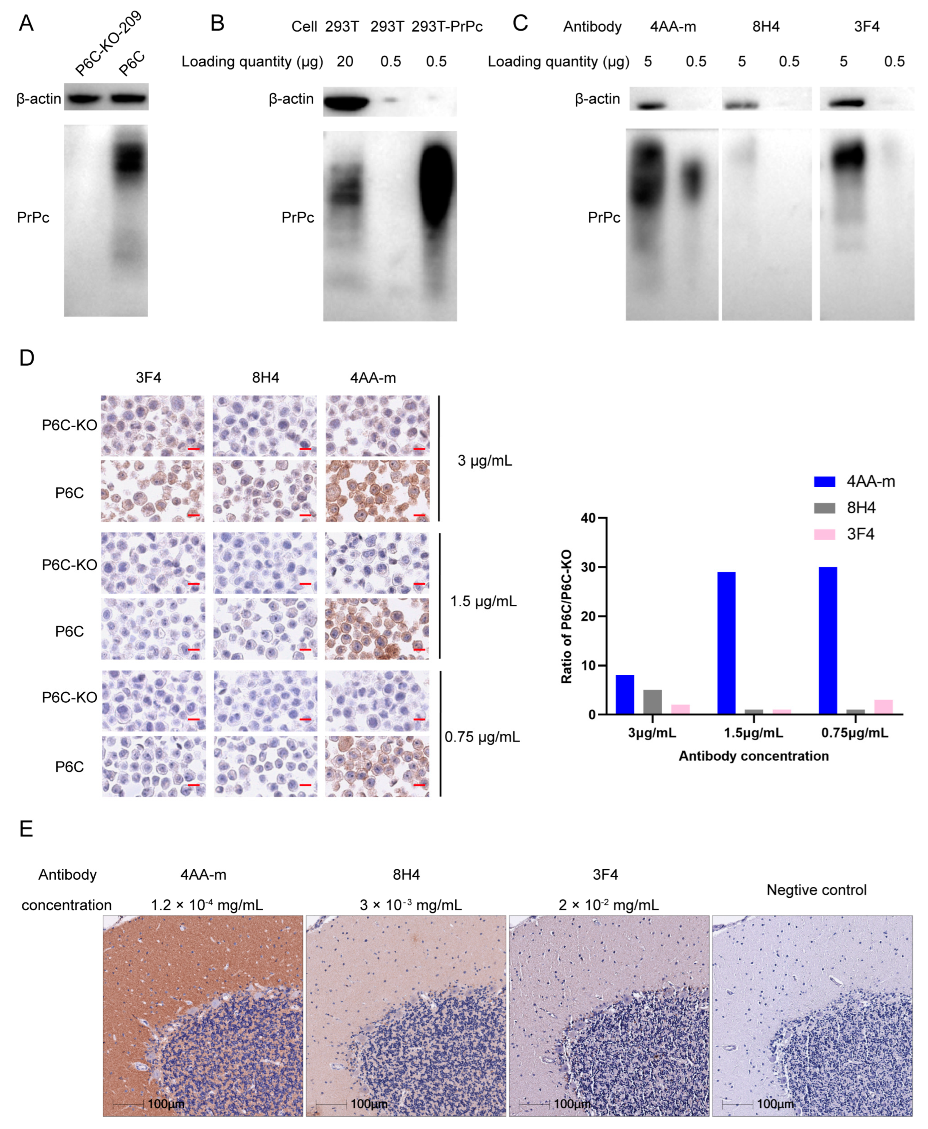 Bioengineering 11 00242 g005
