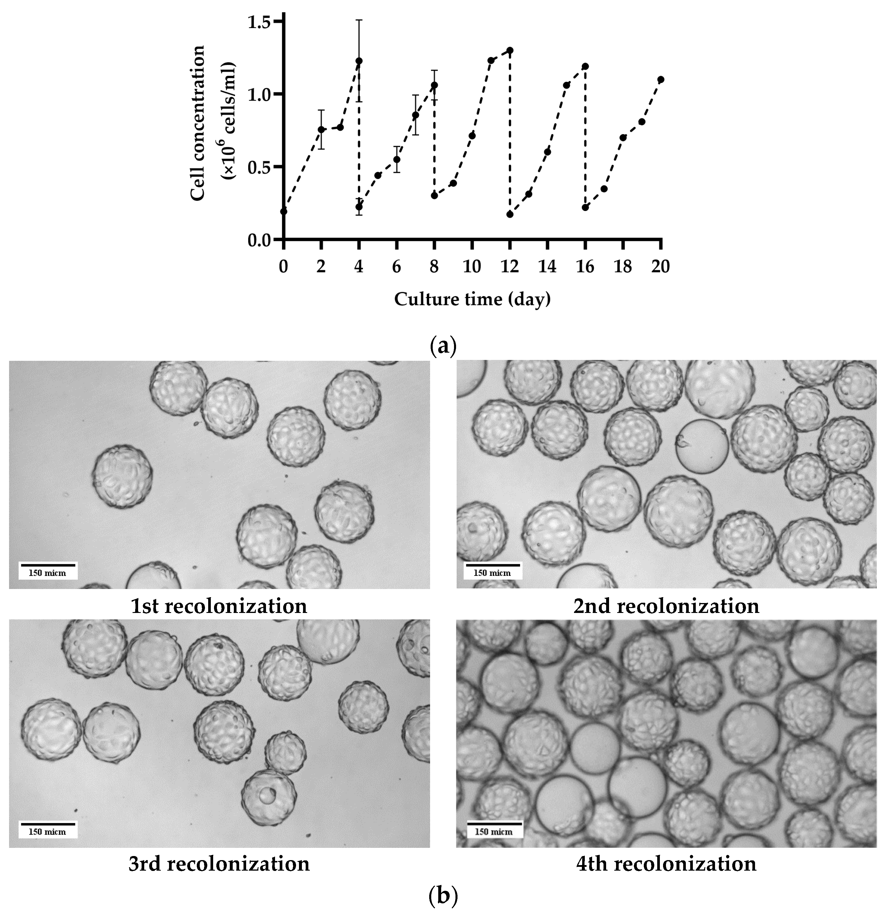 Bioengineering 11 00268 g004