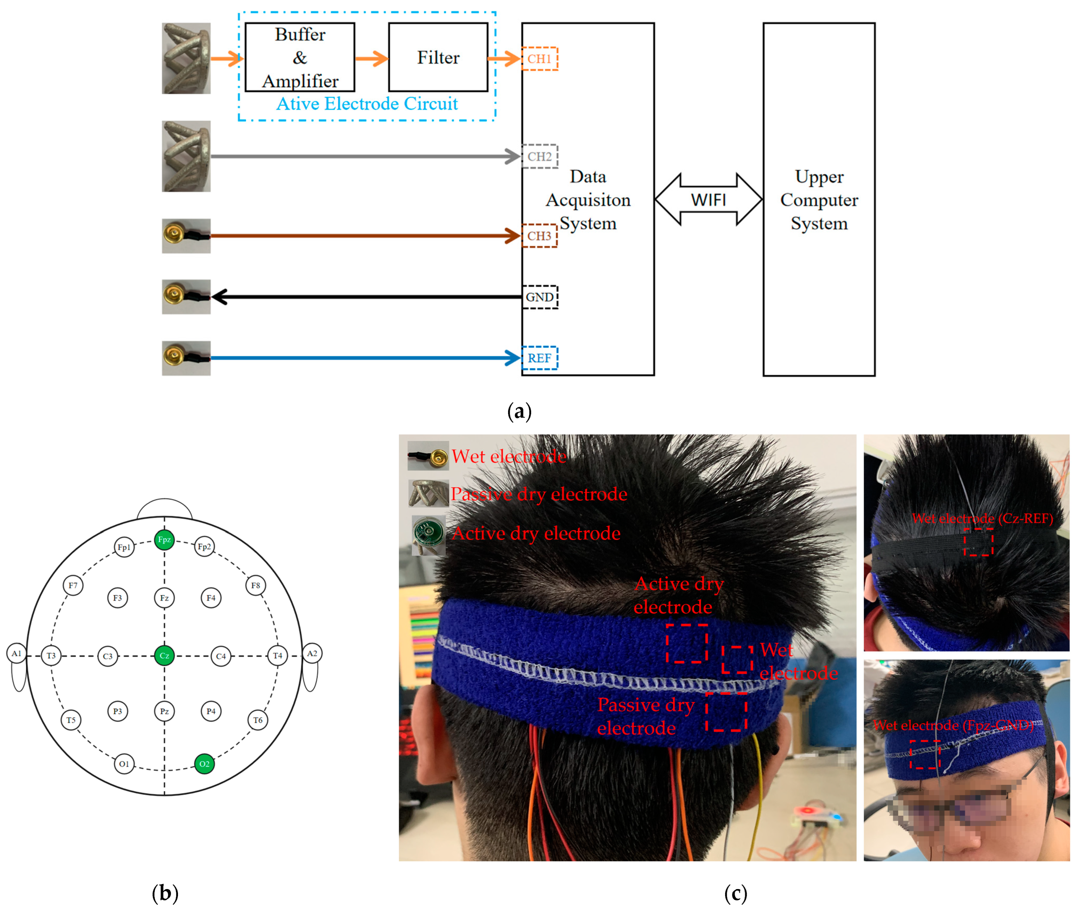 Bioengineering 11 00276 g004