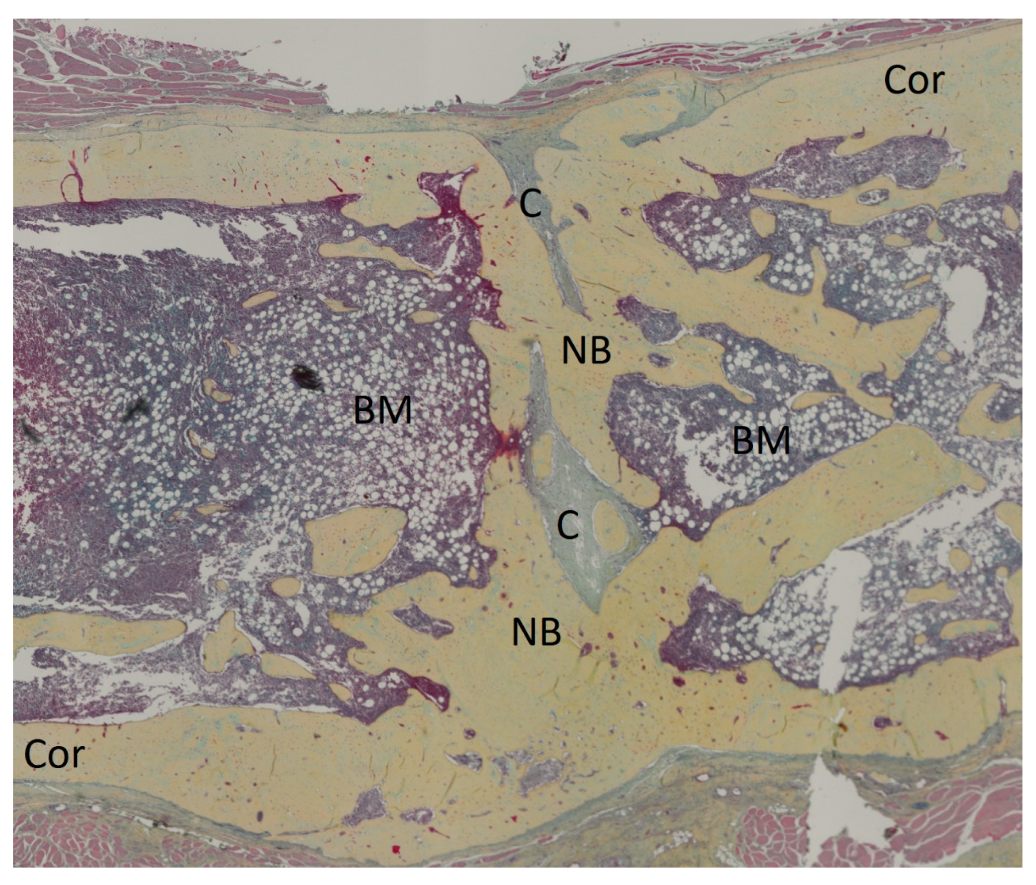 Bioengineering 11 00287 g003 Bioengineering 11 00287 g003