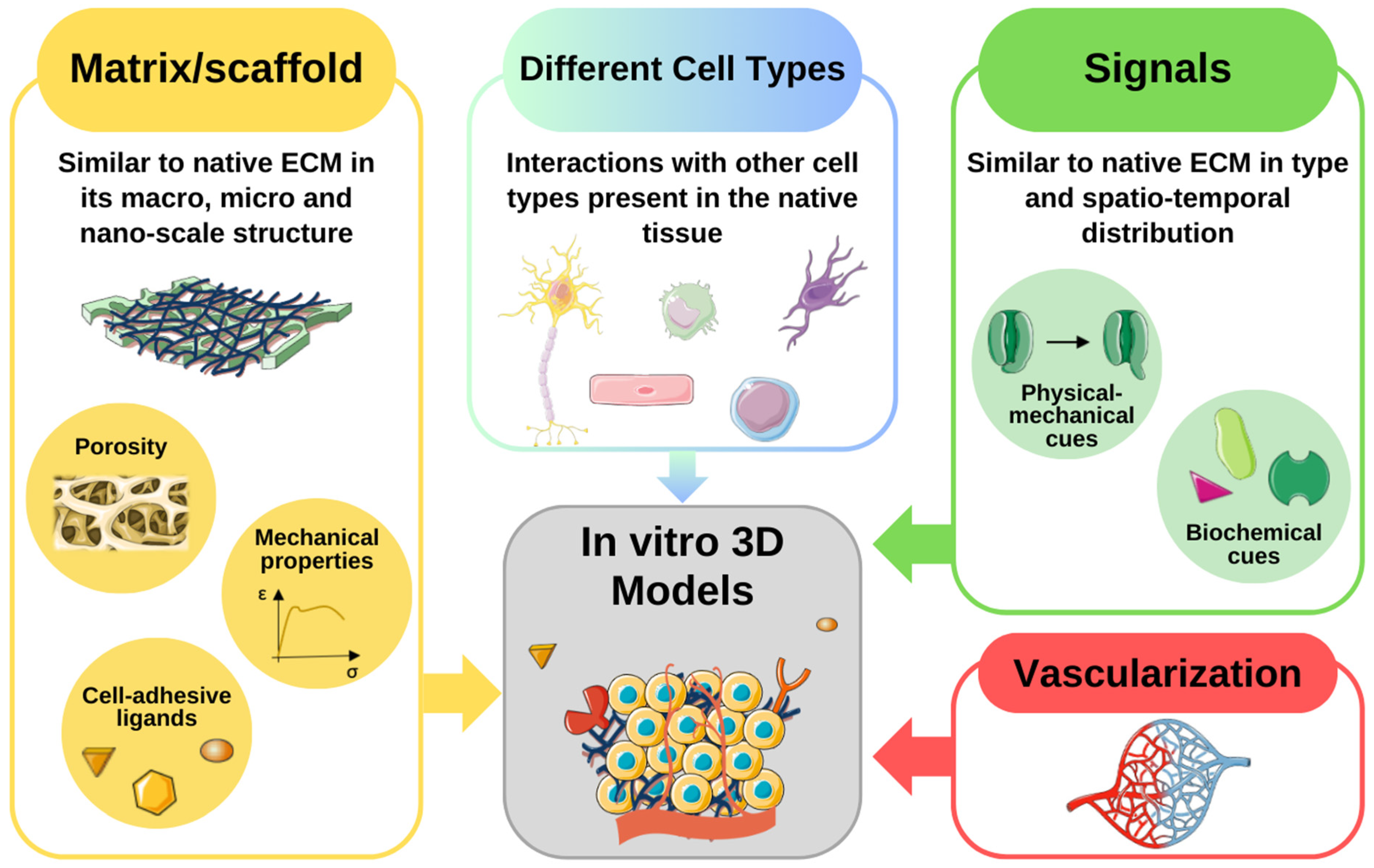 Bioengineering 11 00289 g001