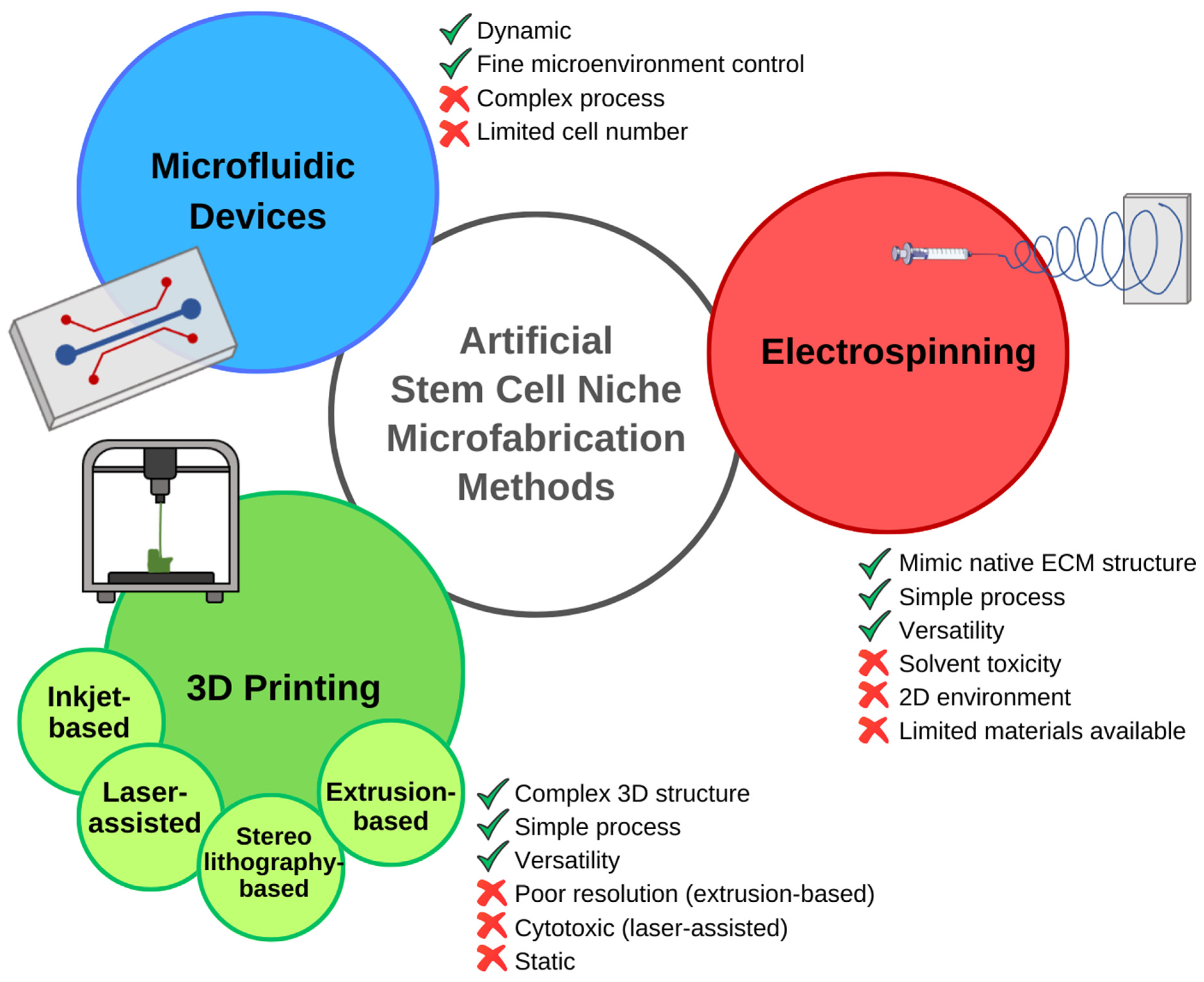 Bioengineering 11 00289 g003