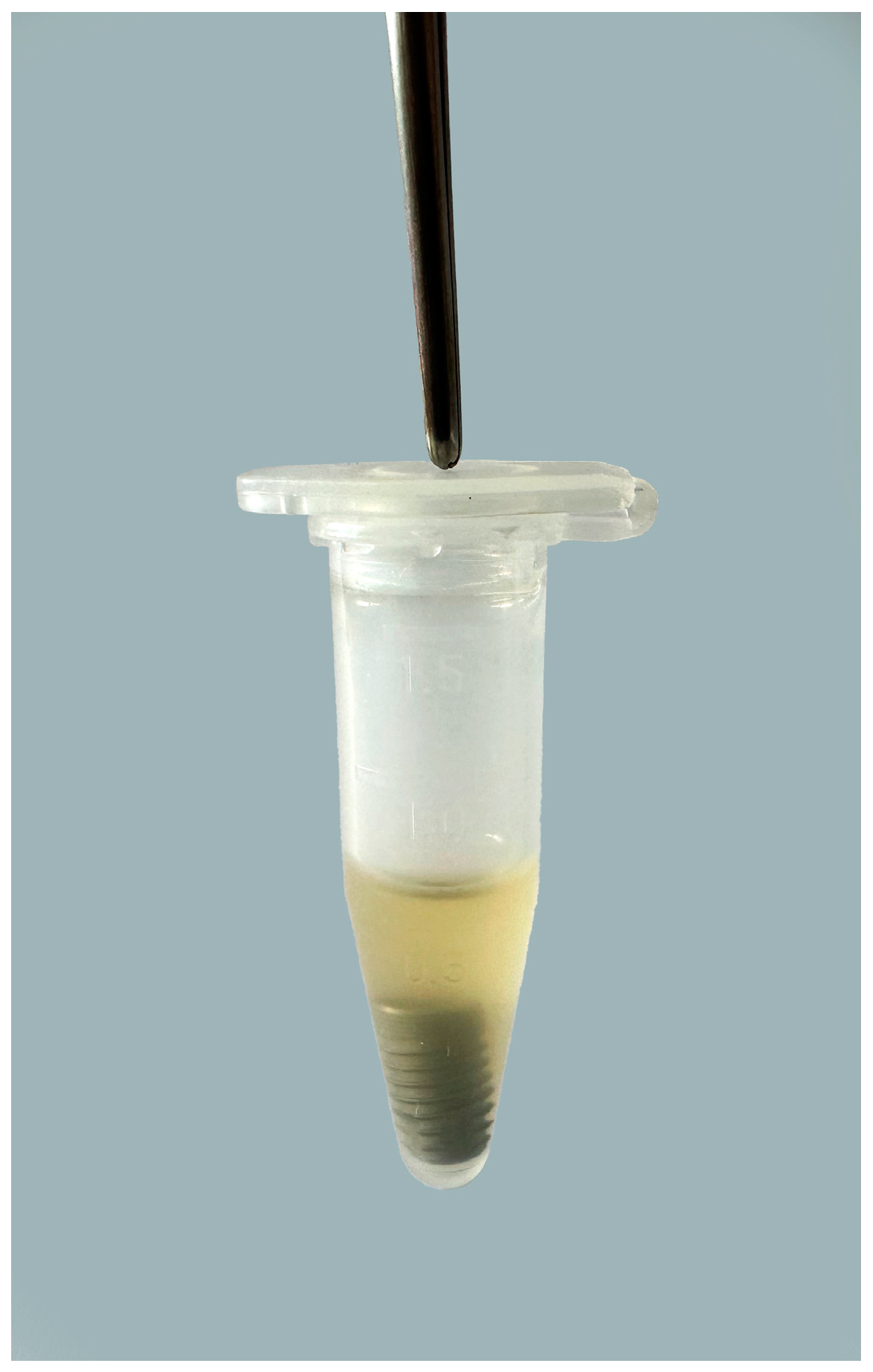 Bioengineering 11 00326 g001