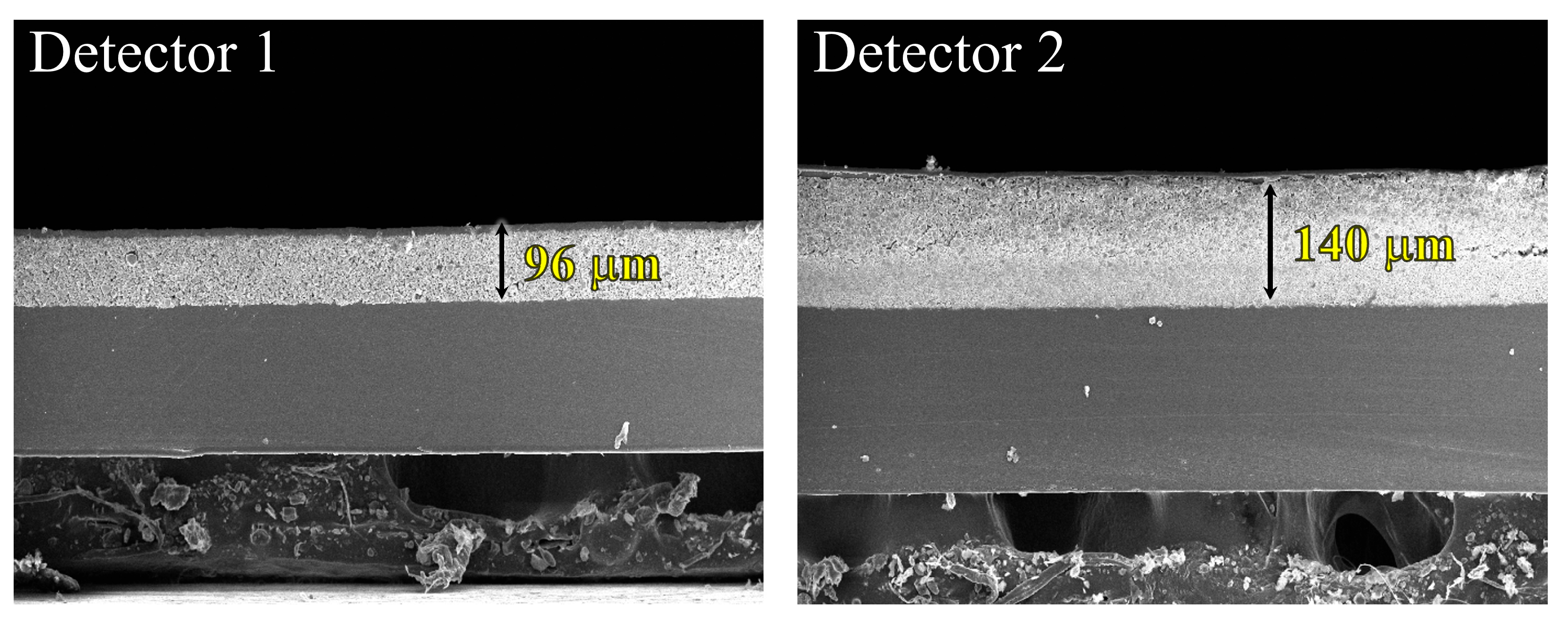 Bioengineering 11 00330 g001 Bioengineering 11 00330 g001