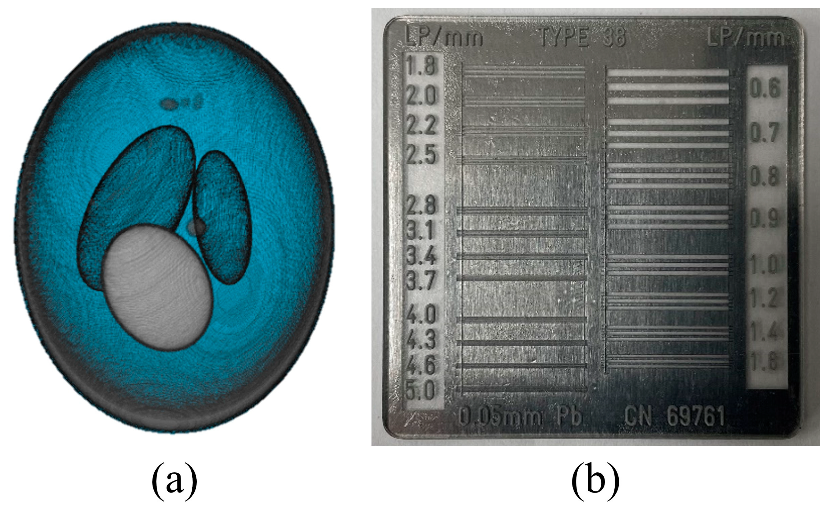 Bioengineering 11 00330 g002 Bioengineering 11 00330 g002