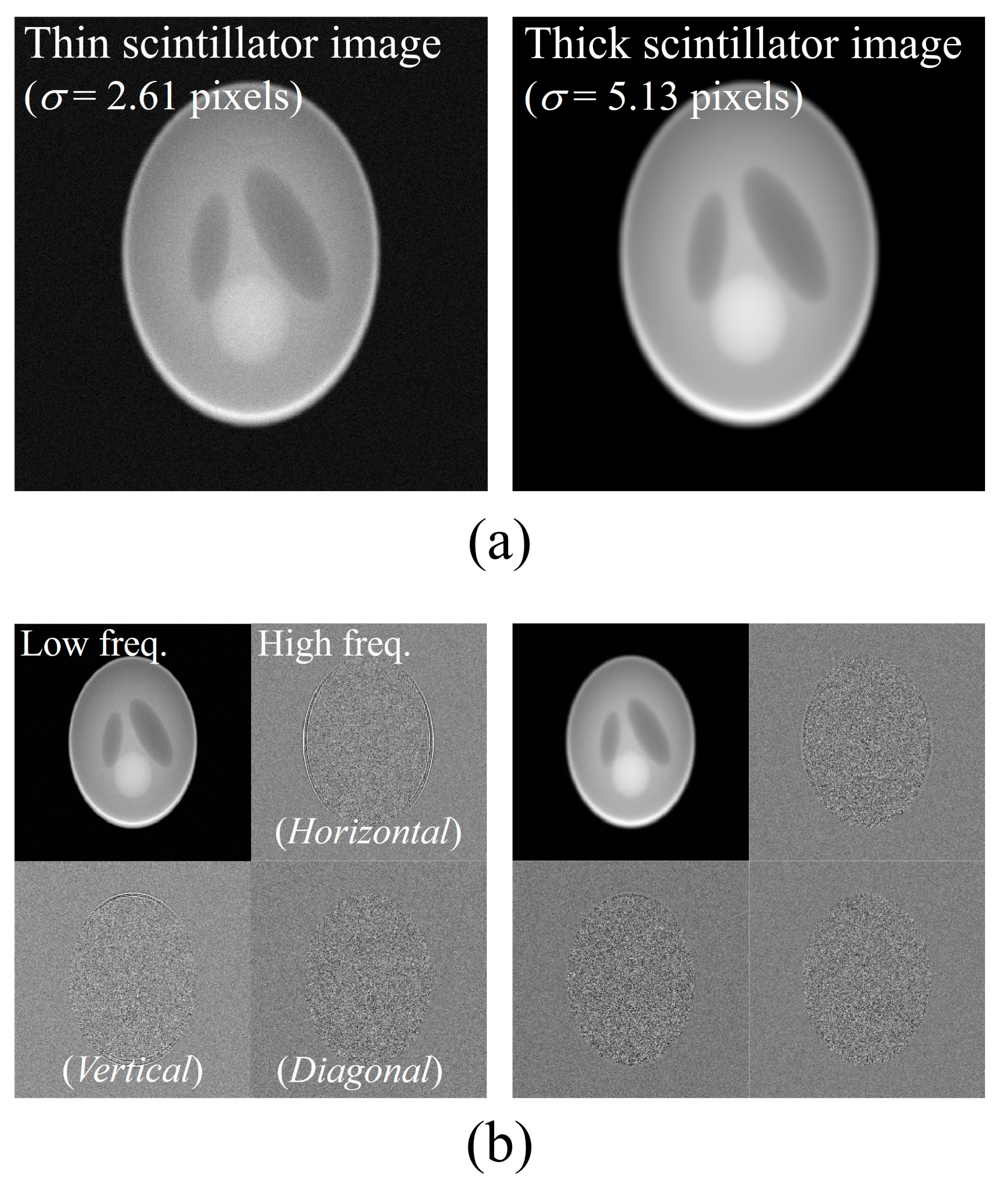 Bioengineering 11 00330 g004 Bioengineering 11 00330 g004