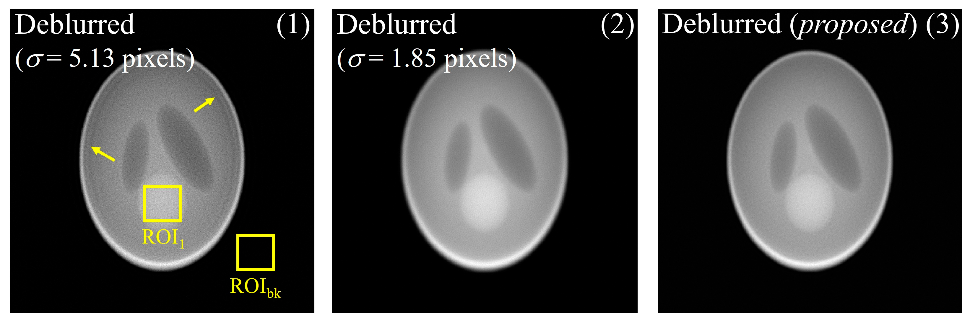 Bioengineering 11 00330 g006 Bioengineering 11 00330 g006