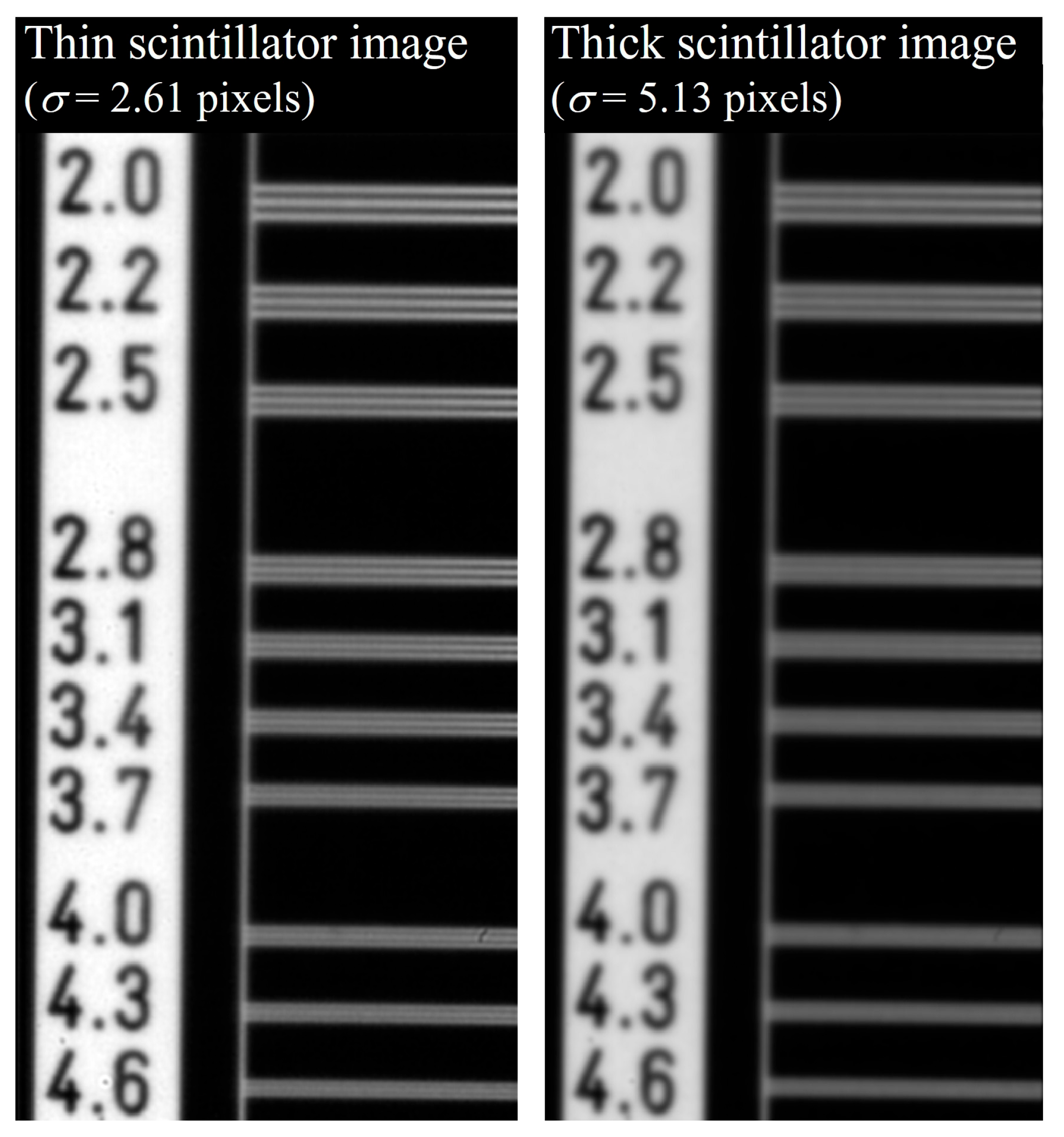 Bioengineering 11 00330 g008 Bioengineering 11 00330 g008