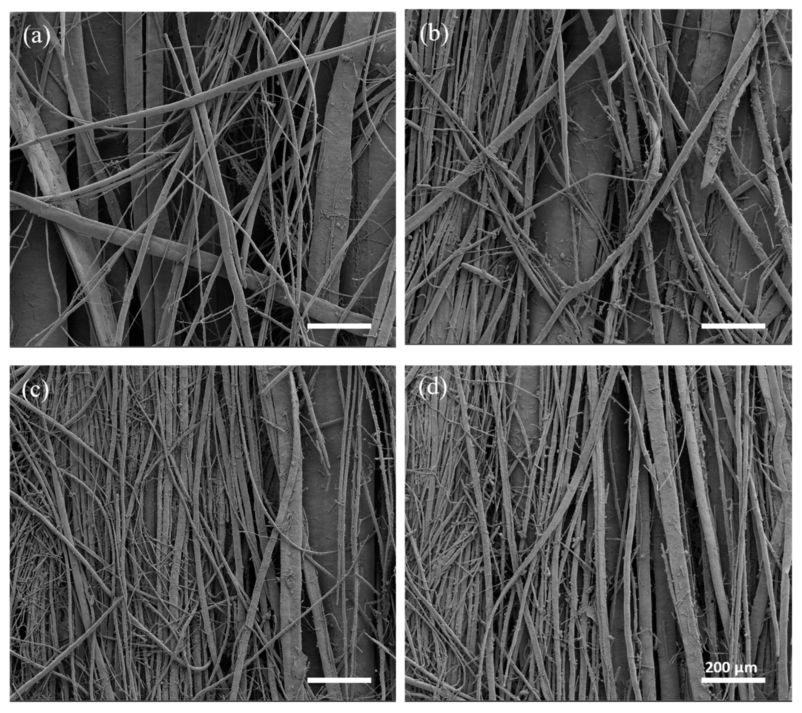 Bioengineering 11 00332 g004 Bioengineering 11 00332 g004