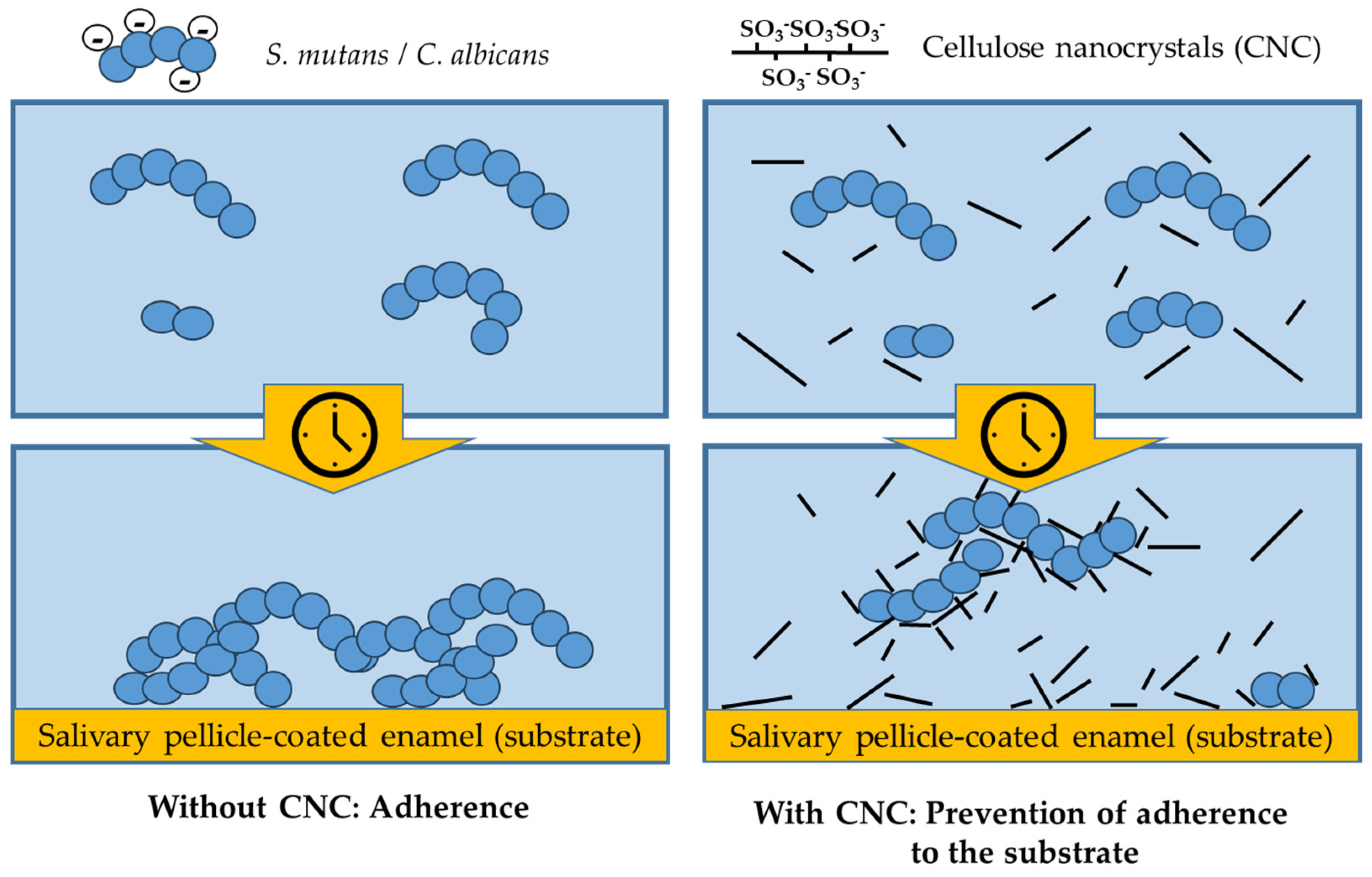 Bioengineering 11 00355 g008 Bioengineering 11 00355 g008