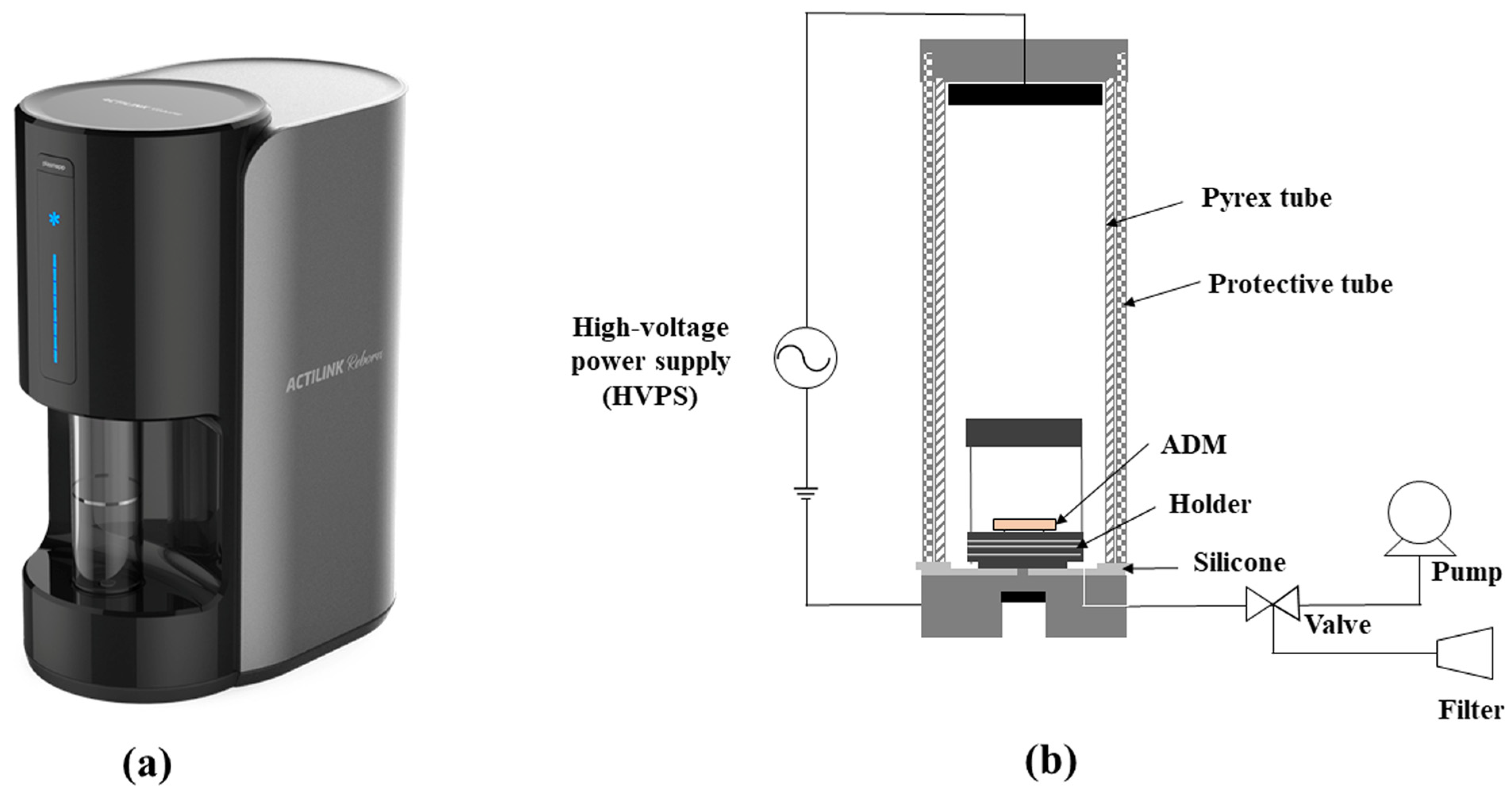 Bioengineering 11 00359 g001