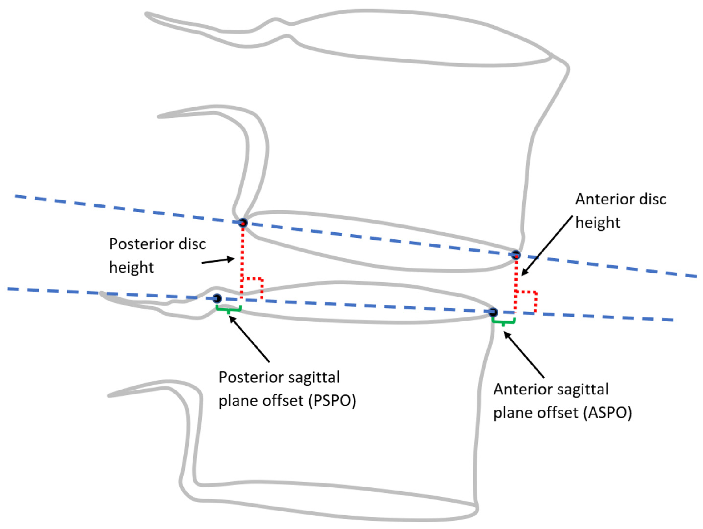 Bioengineering 11 00360 g001 Bioengineering 11 00360 g001