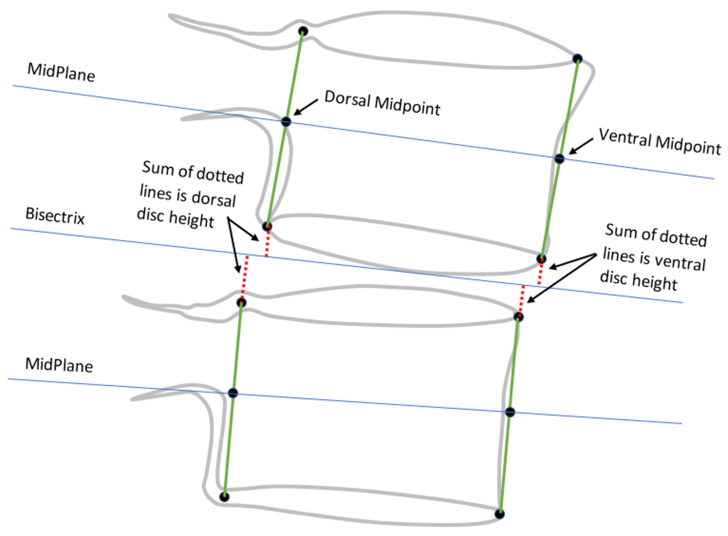 Bioengineering 11 00360 g002 Bioengineering 11 00360 g002