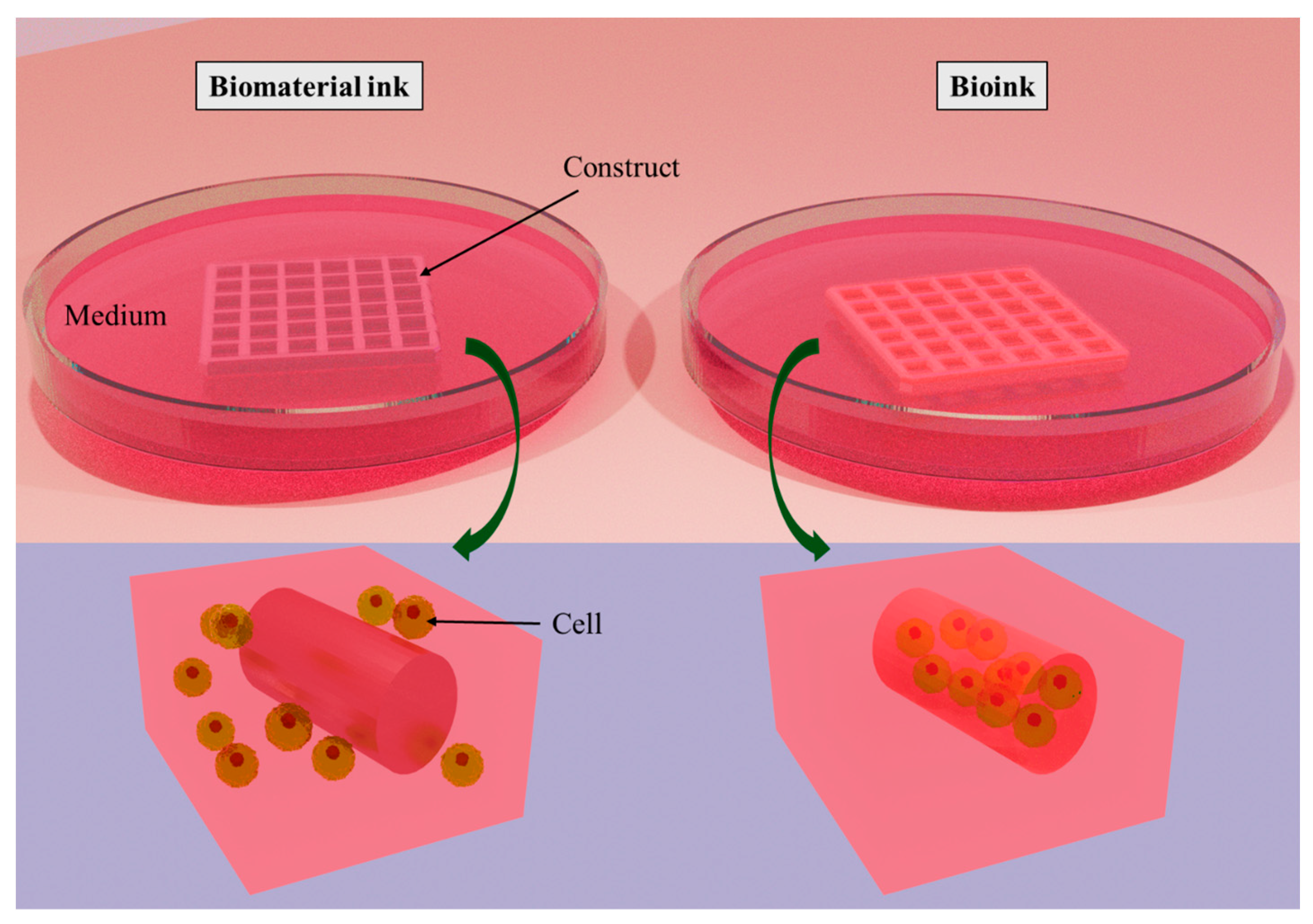 Bioengineering 11 00363 g002