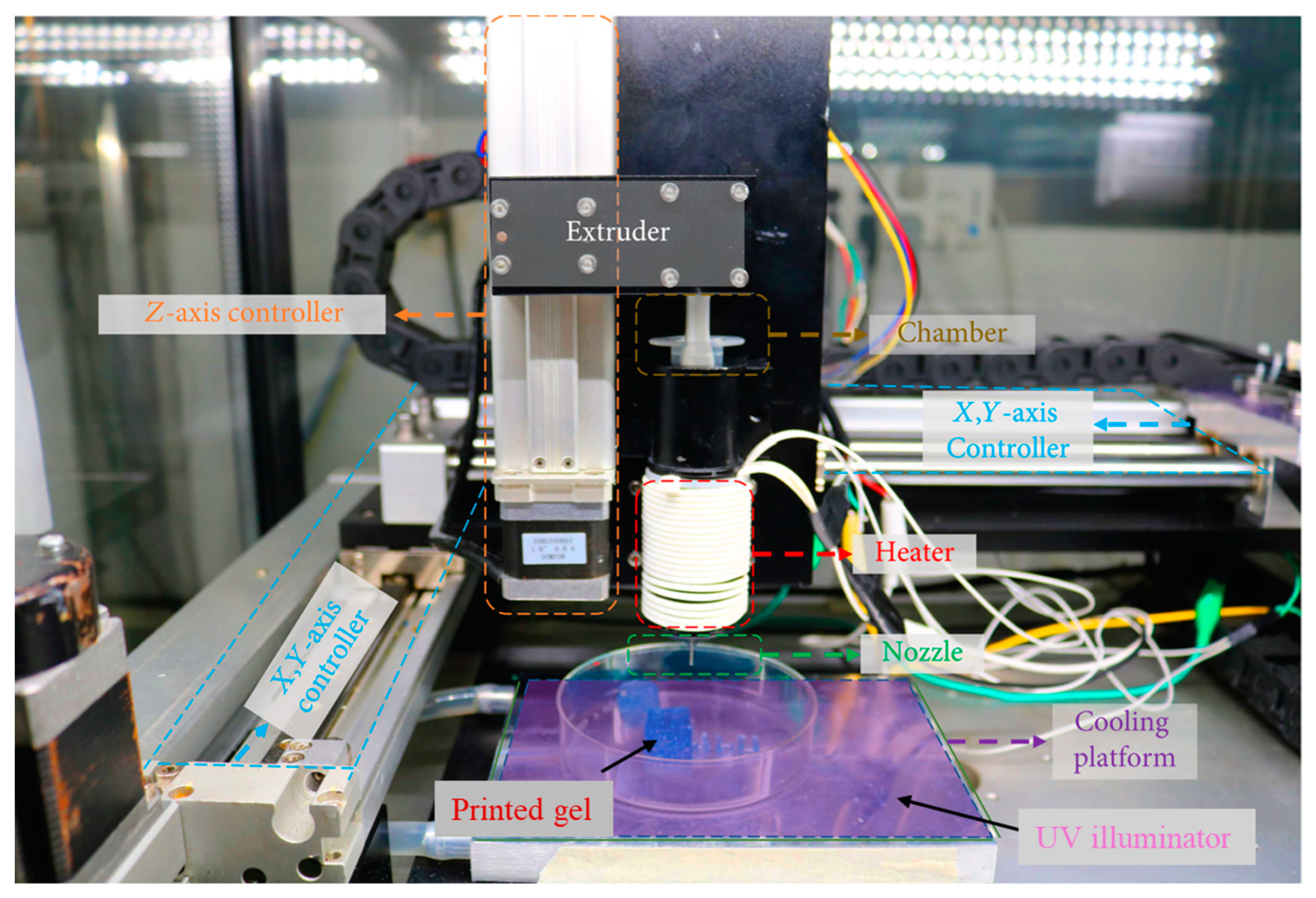 Bioengineering 11 00363 g003