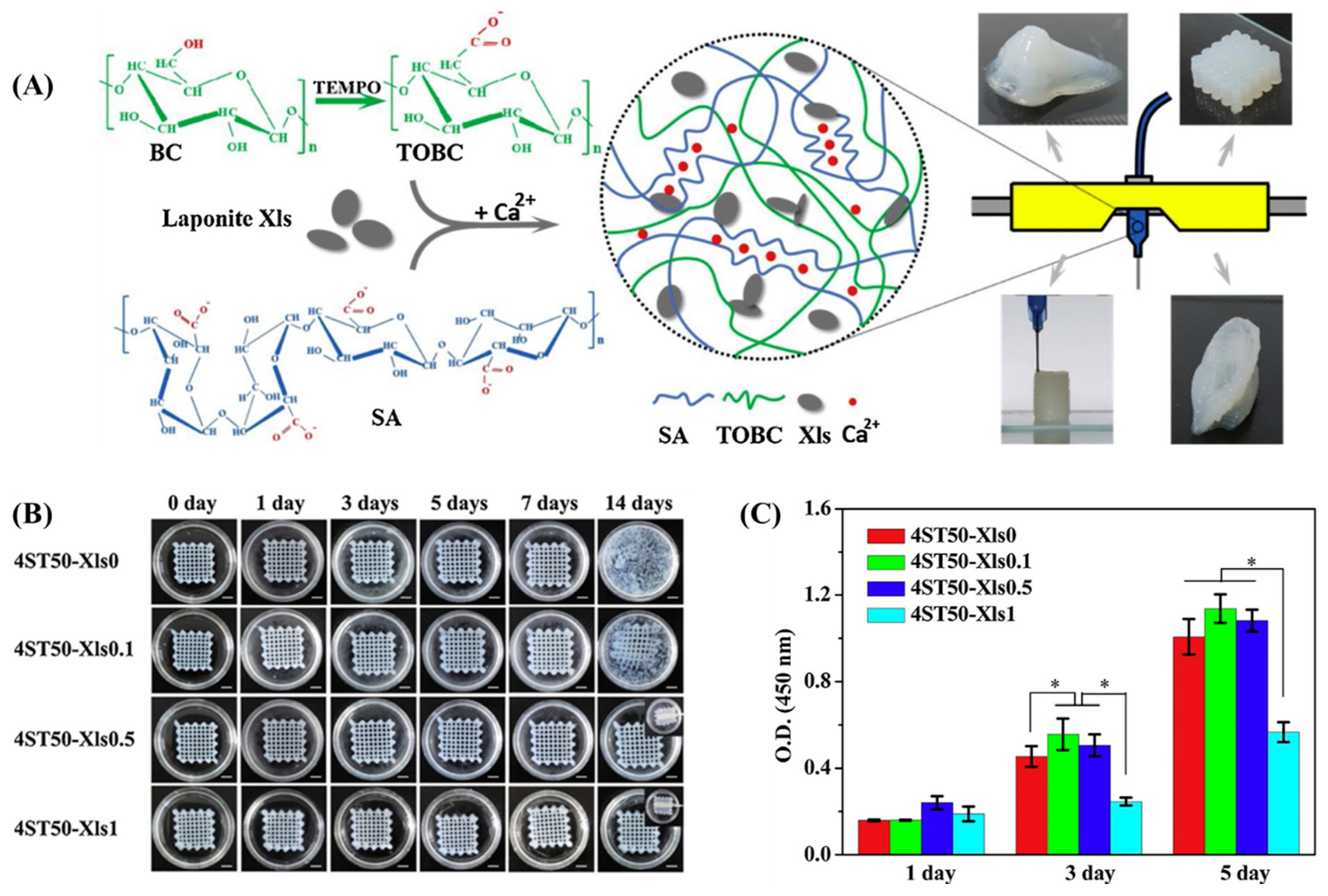 Bioengineering 11 00363 g006