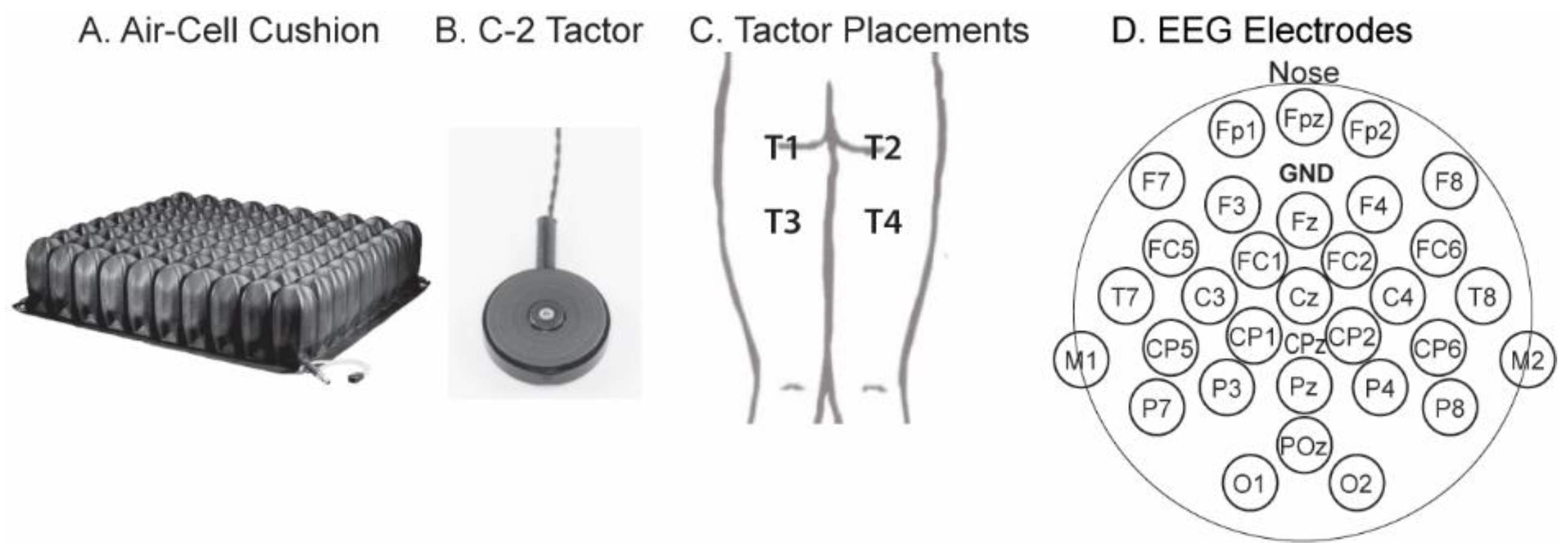 Bioengineering 11 00377 g001