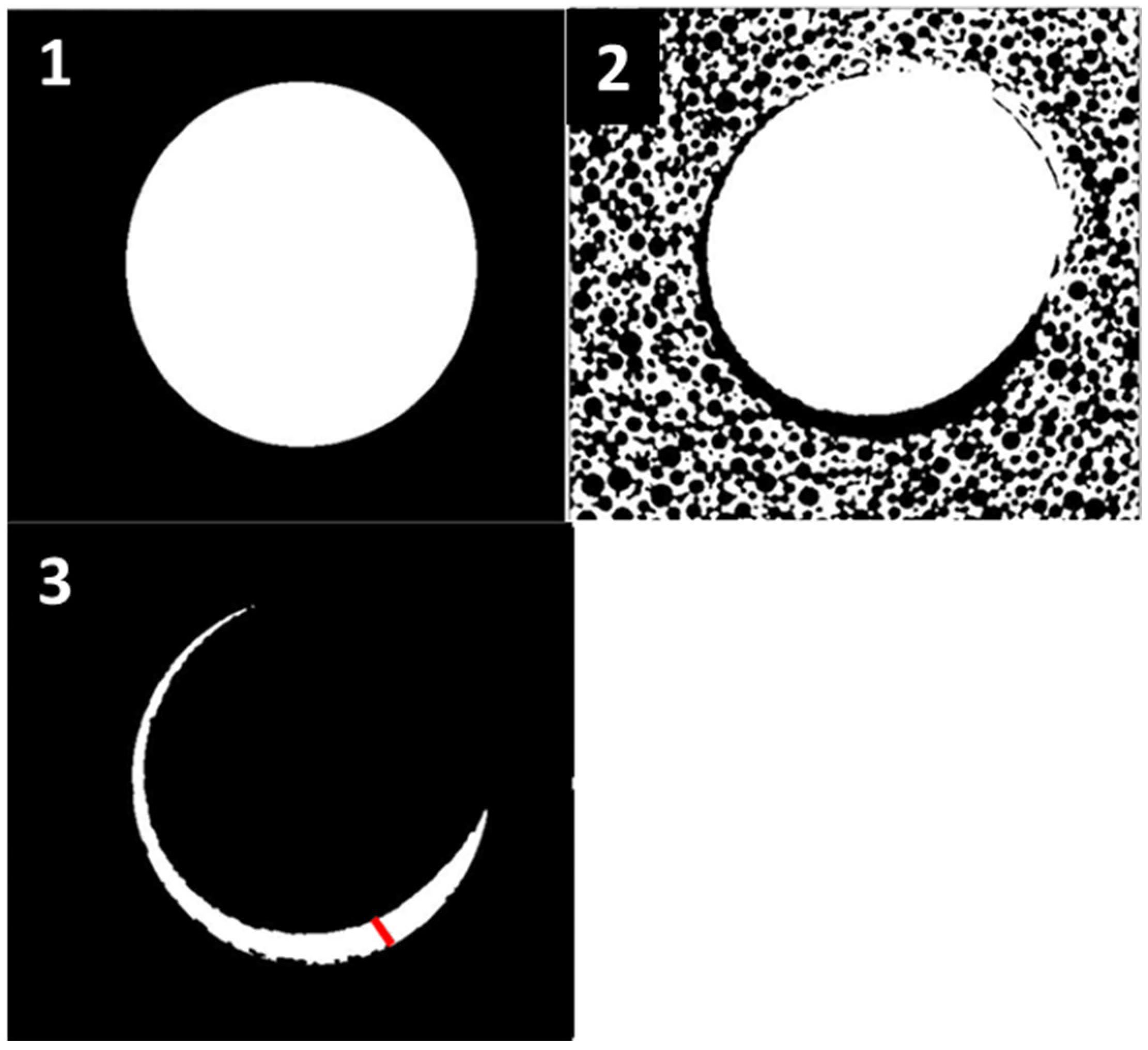 Bioengineering 11 00383 g002