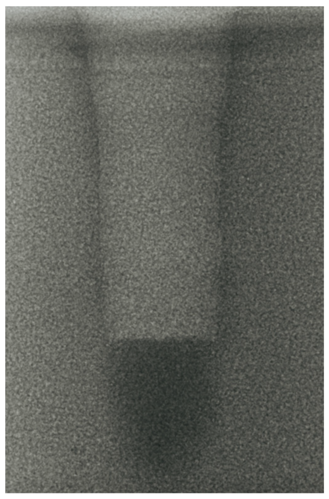 Bioengineering 11 00383 g003