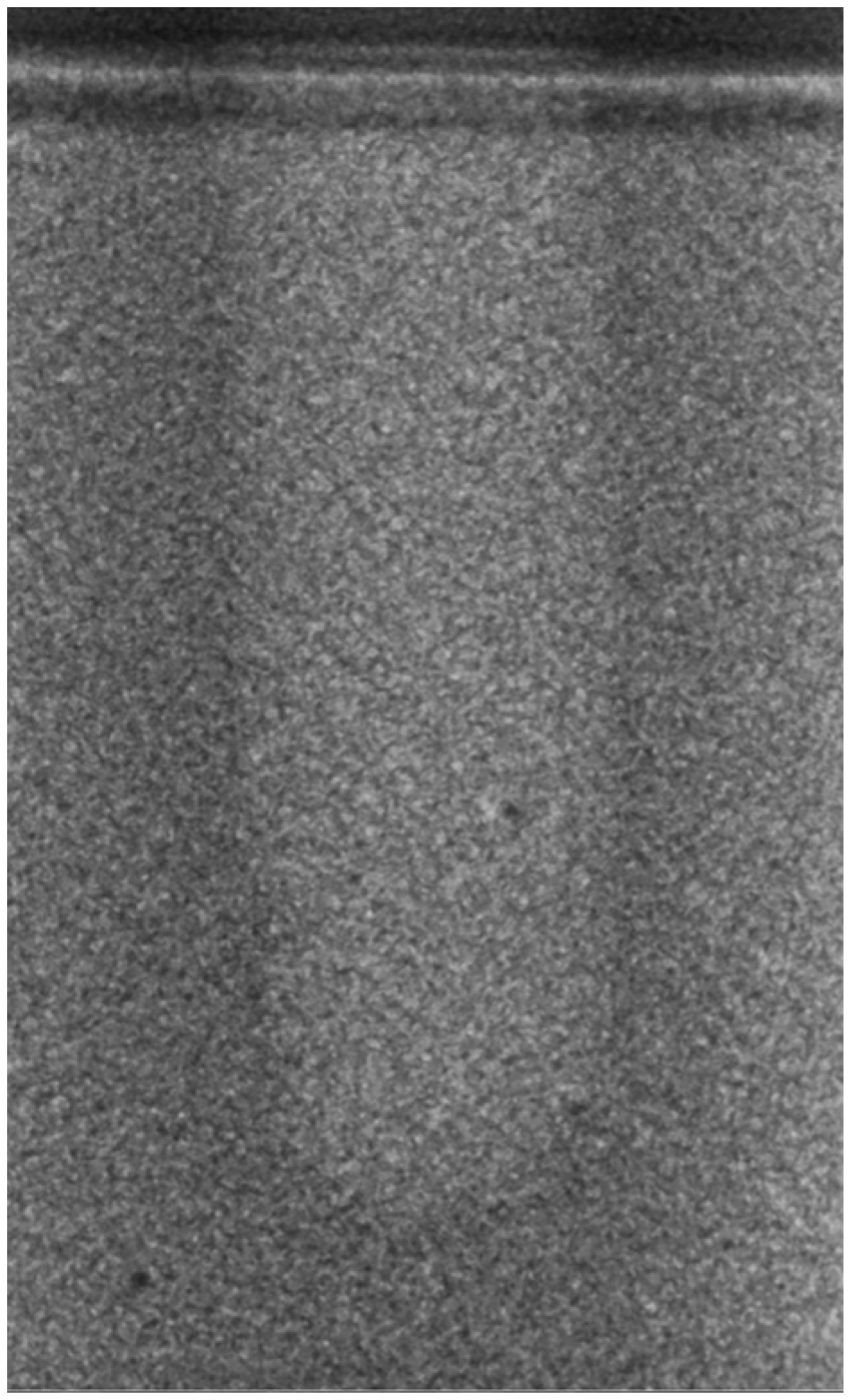 Bioengineering 11 00383 g008