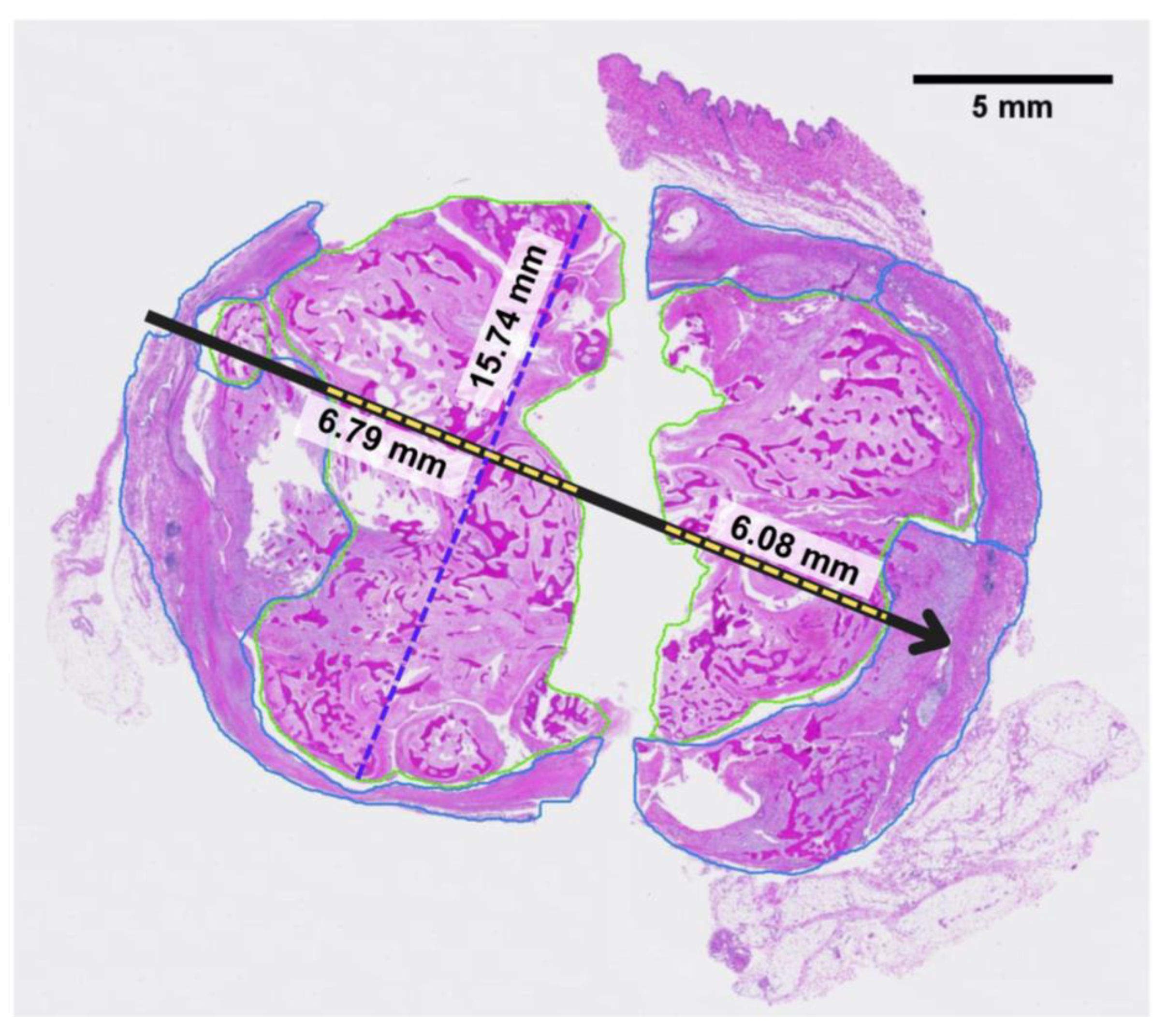 Bioengineering 11 00391 g009