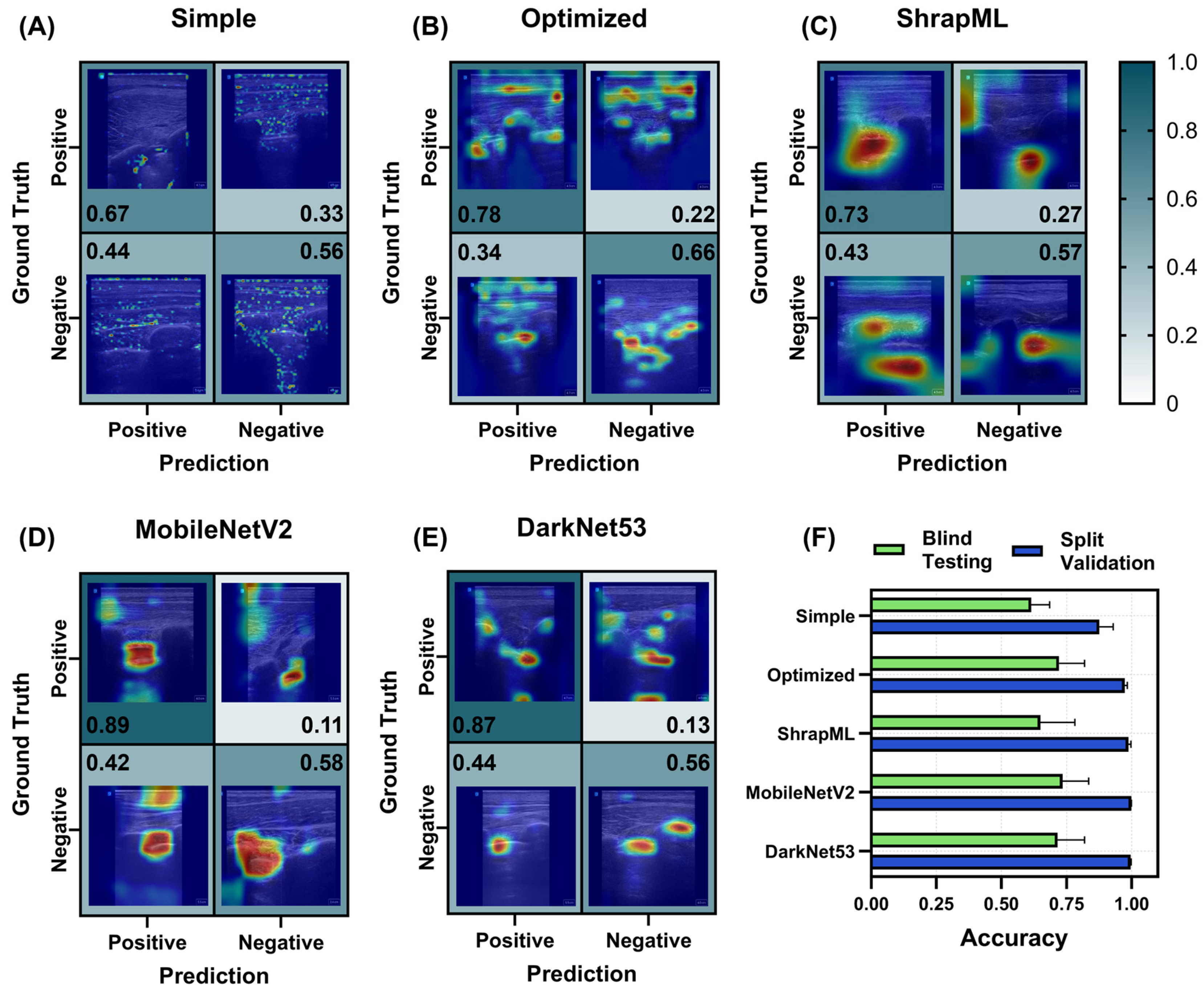Bioengineering 11 00392 g009