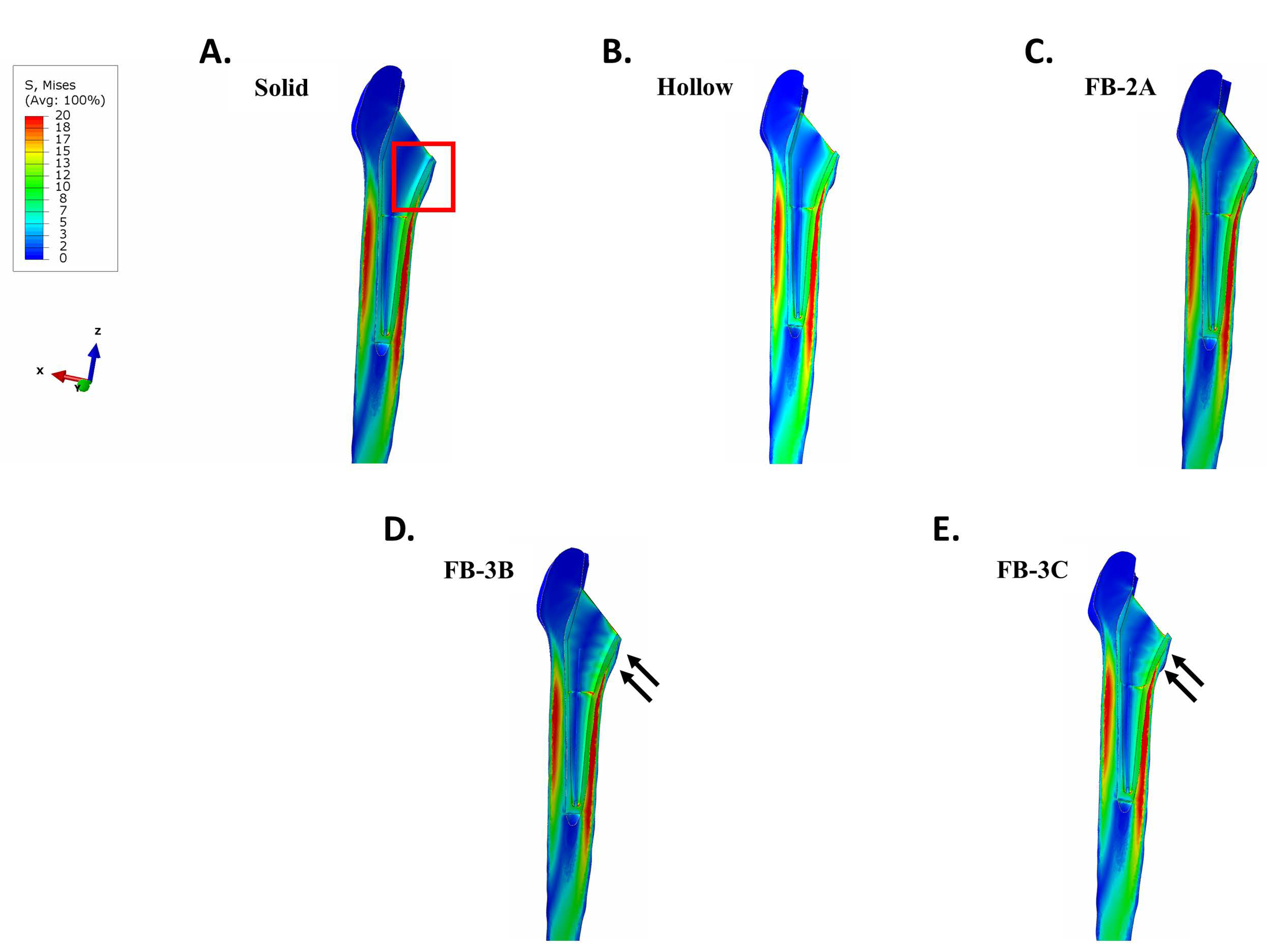 Bioengineering 11 00393 g004