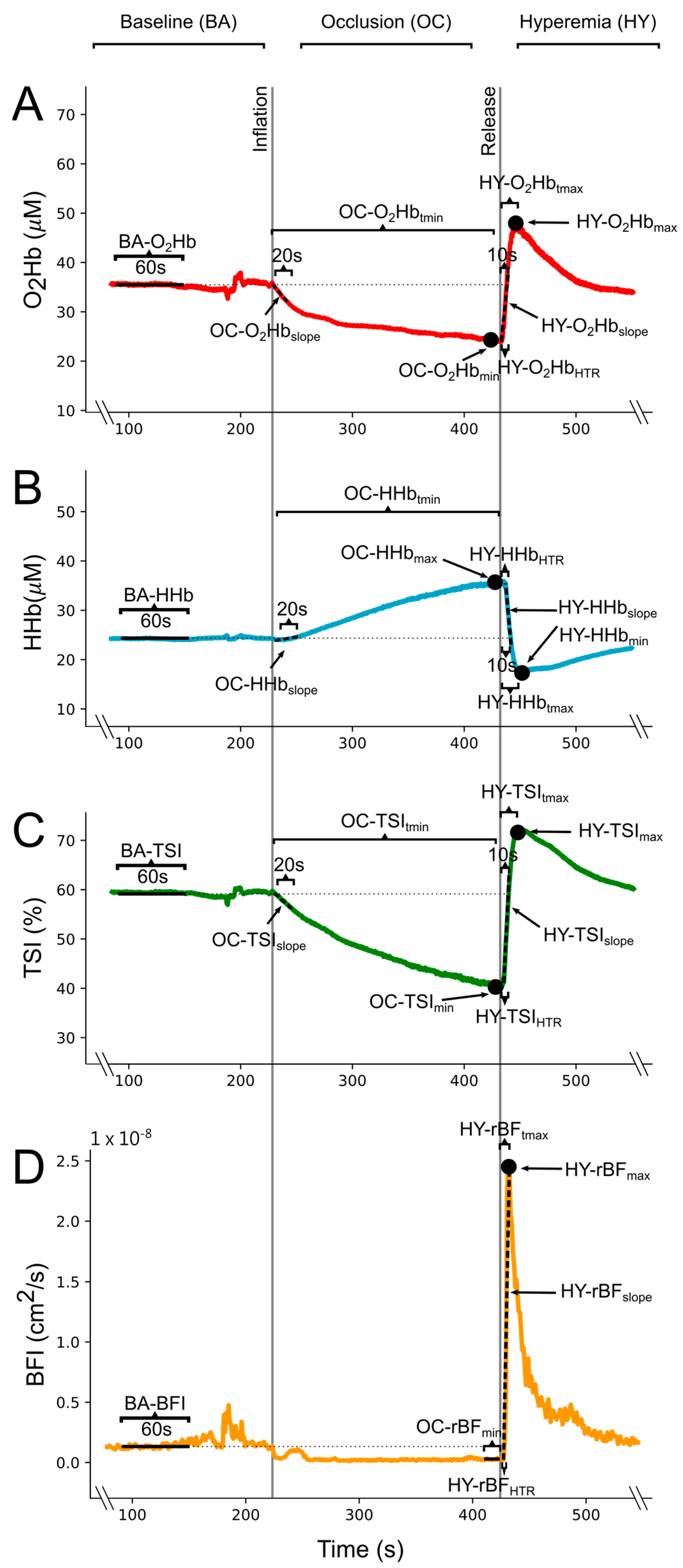 Bioengineering 11 00401 g001
