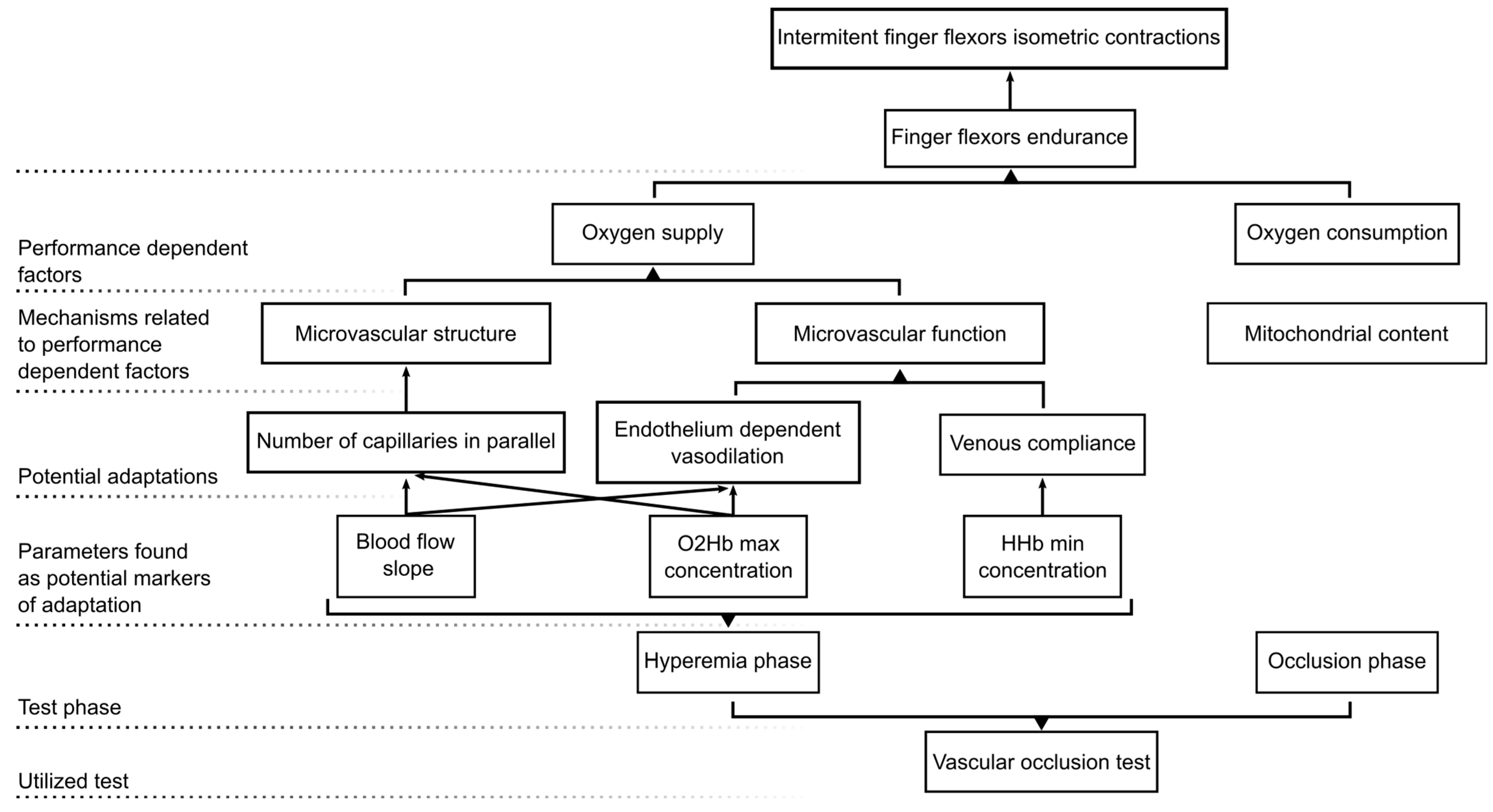 Bioengineering 11 00401 g004
