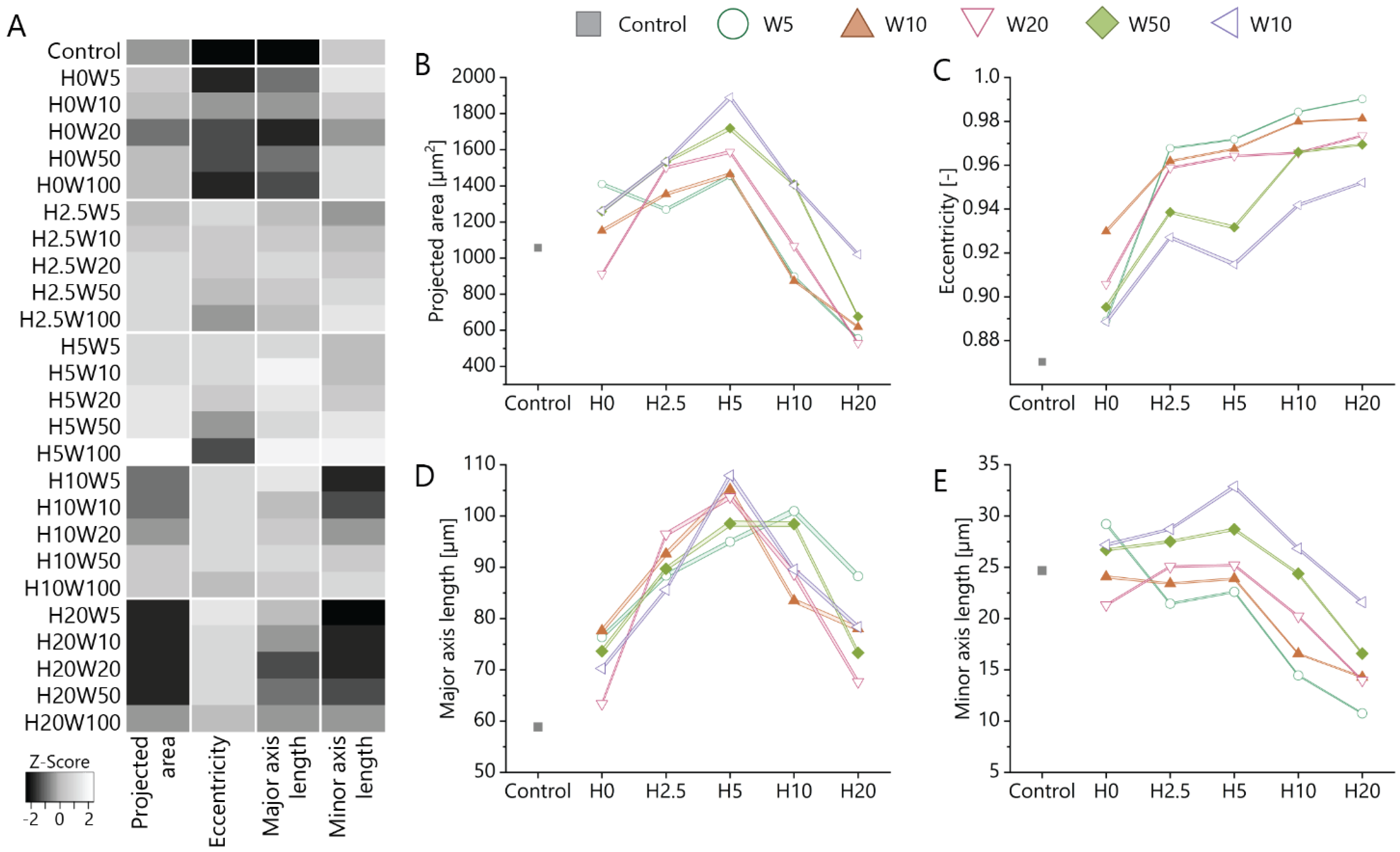 Bioengineering 11 00402 g003
