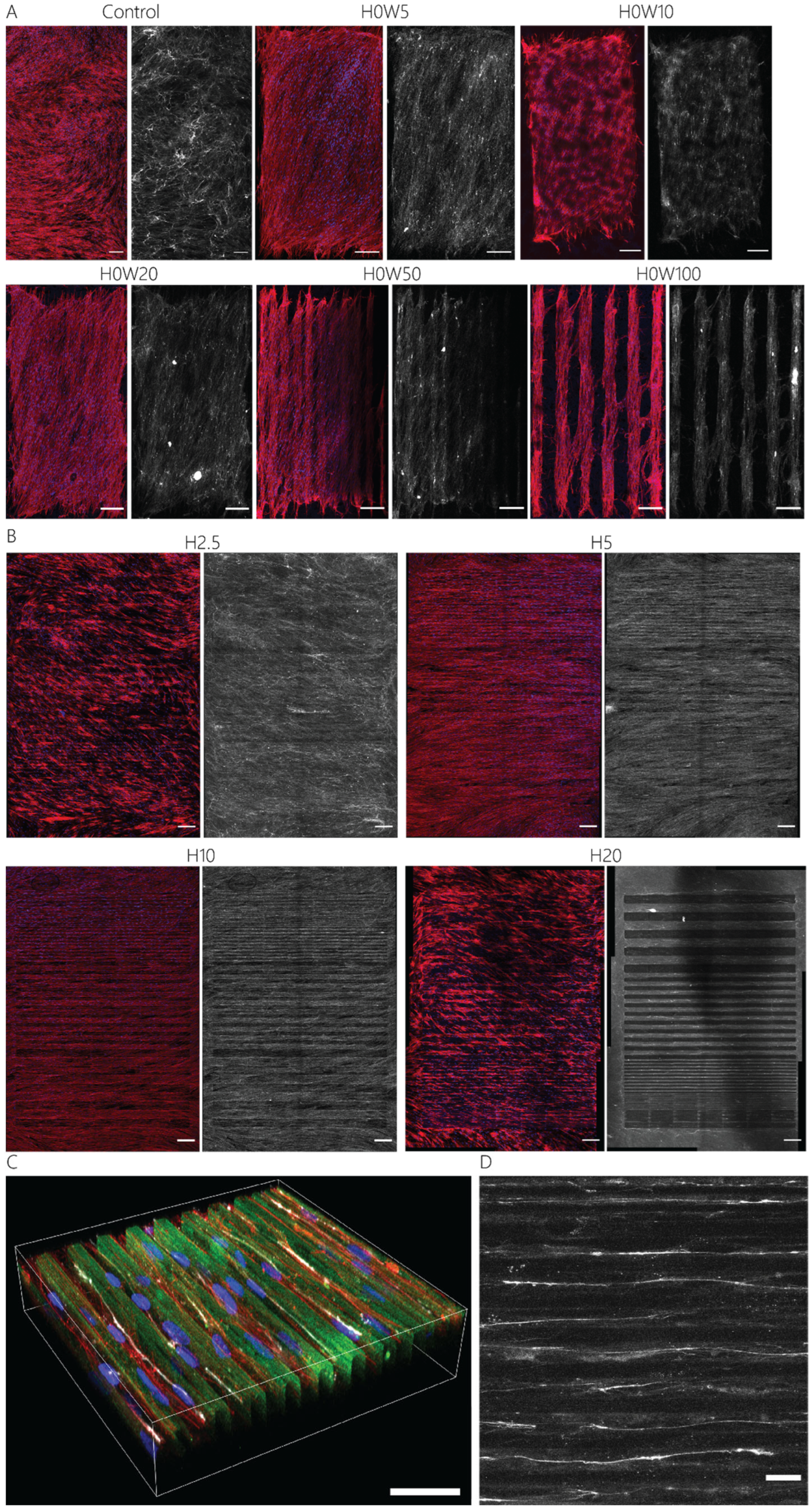 Bioengineering 11 00402 g006