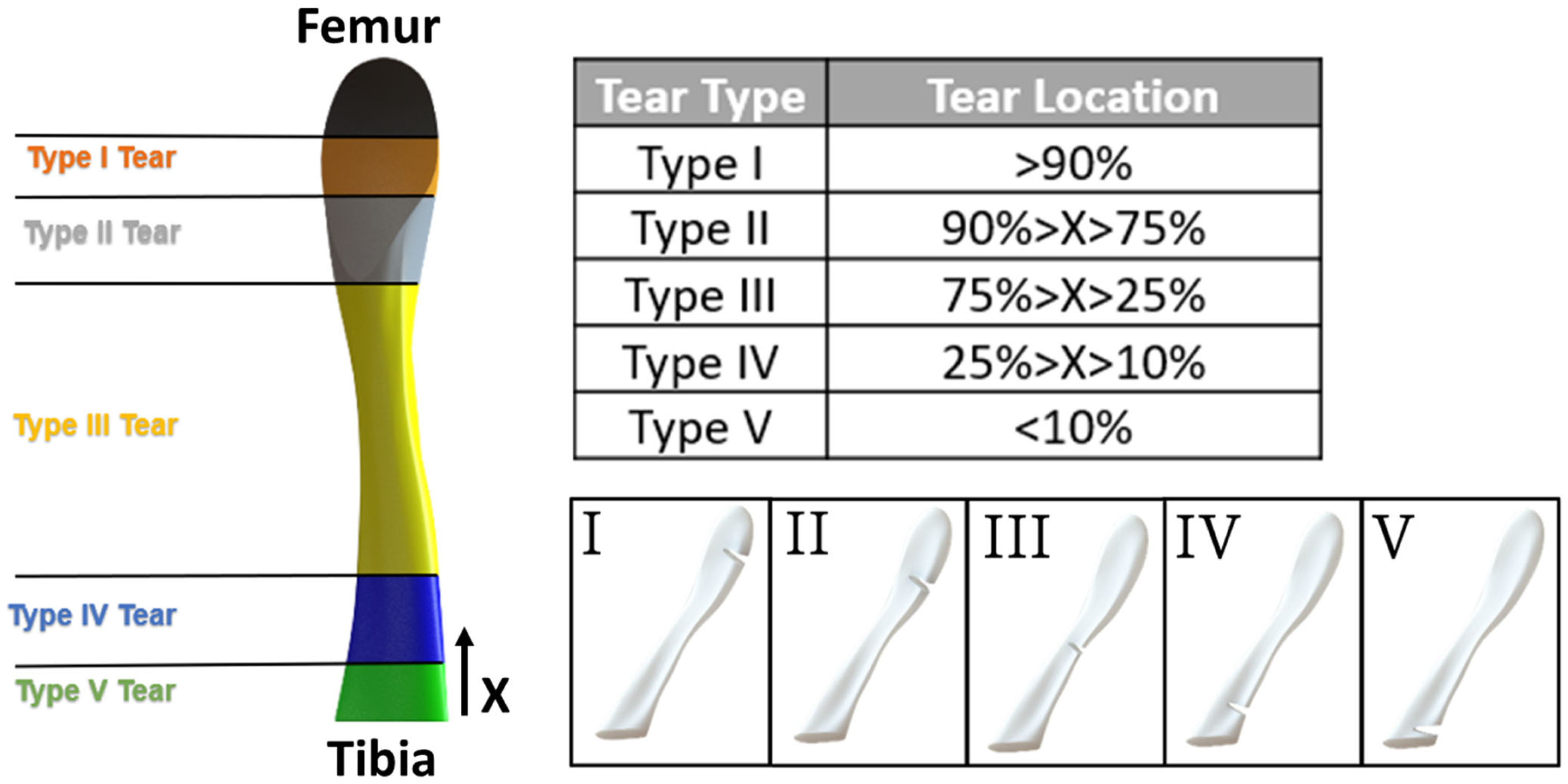 Bioengineering 11 00413 g002