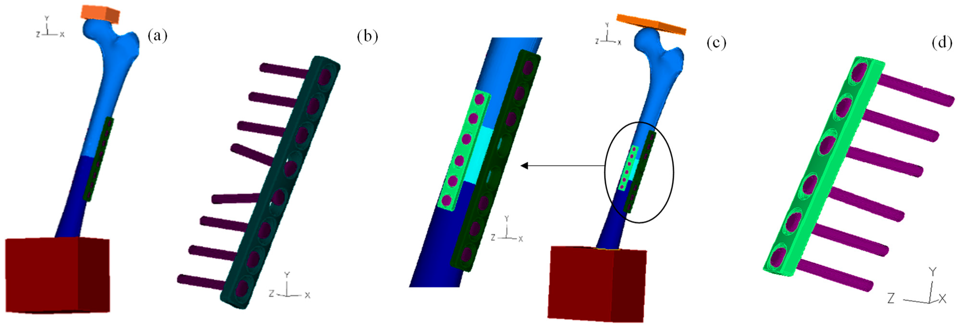 Bioengineering 11 00416 g001