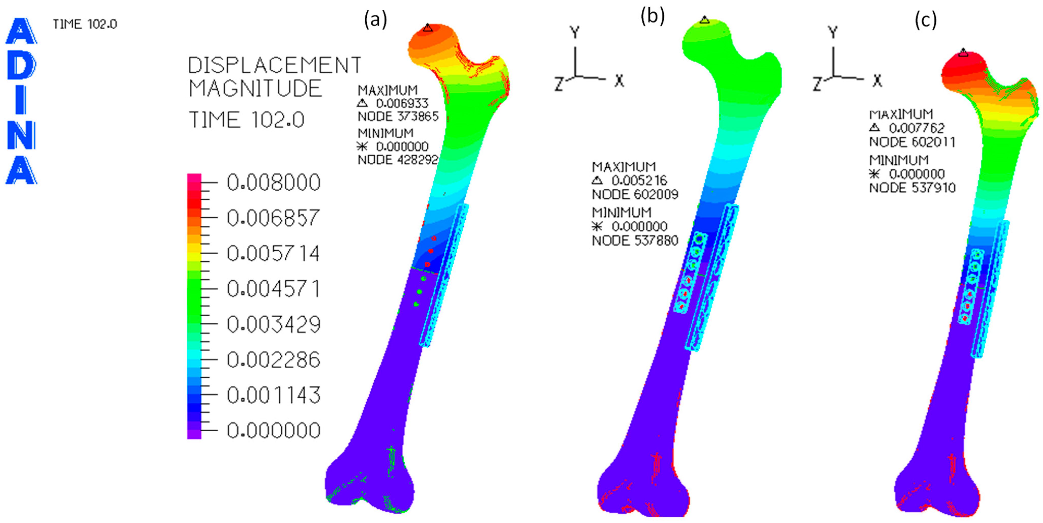 Bioengineering 11 00416 g004