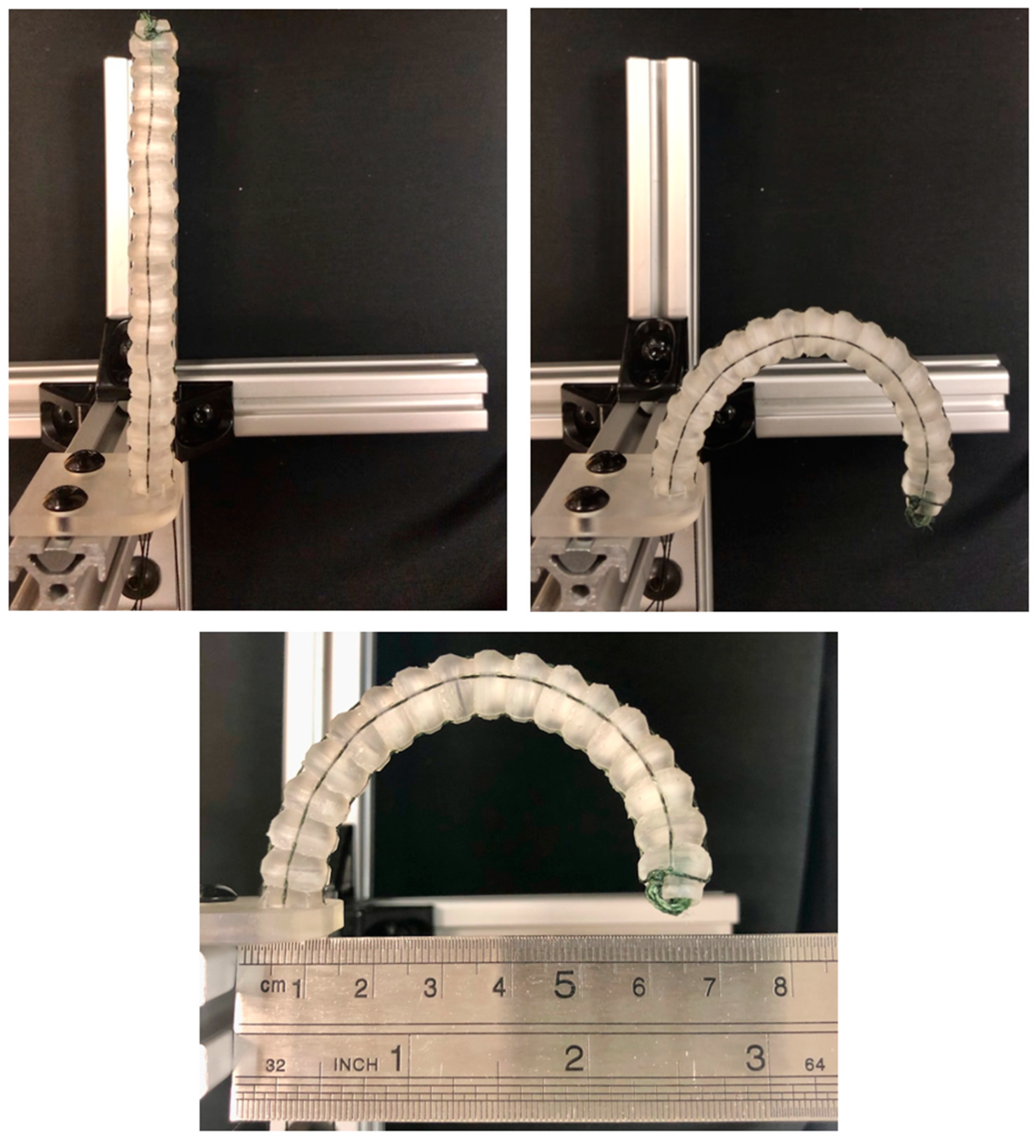 Bioengineering 11 00417 g018